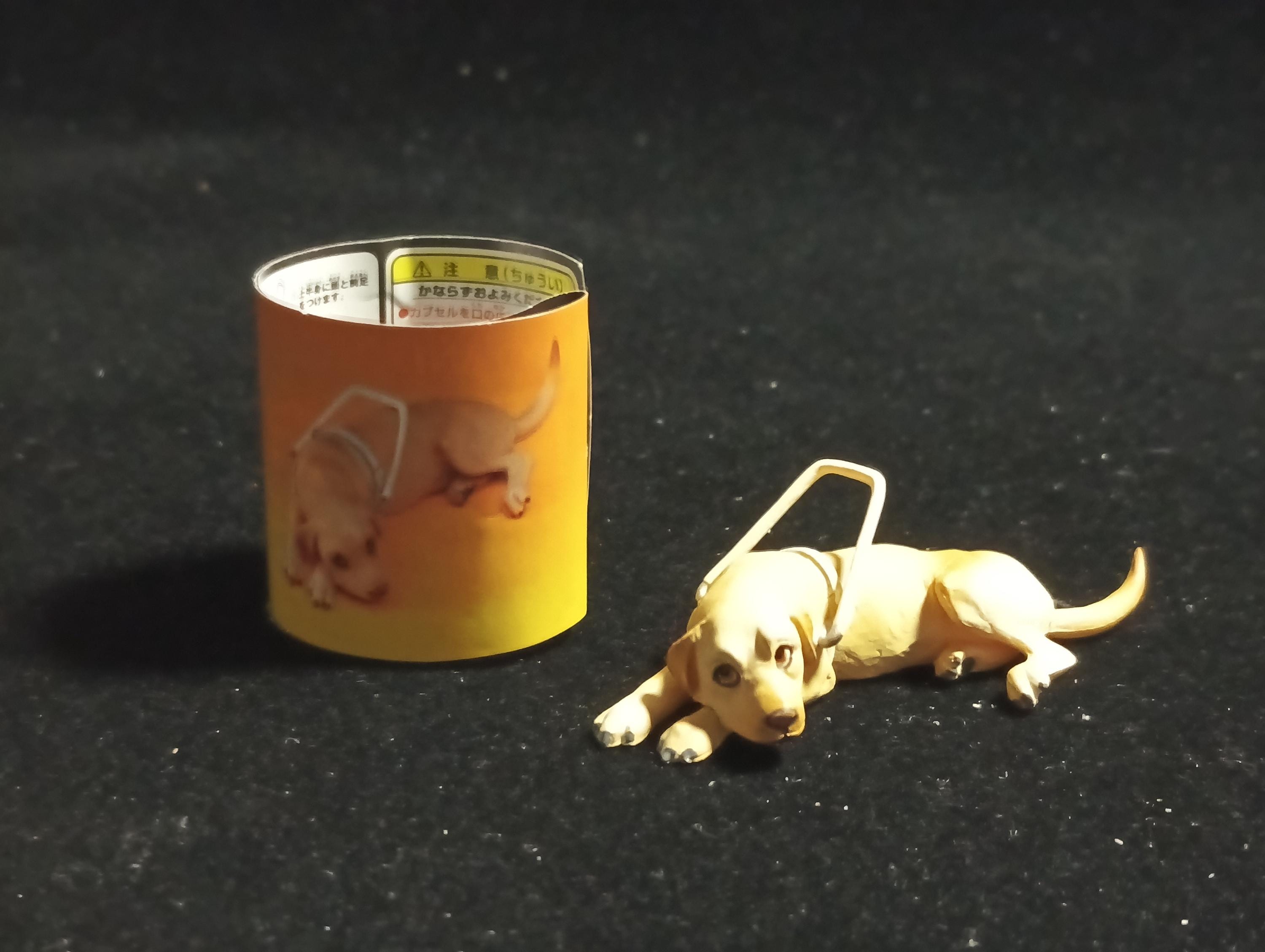 Kaiyodo Animatales Choco Q Amazing Animals Labrador Guide Dog Figure A