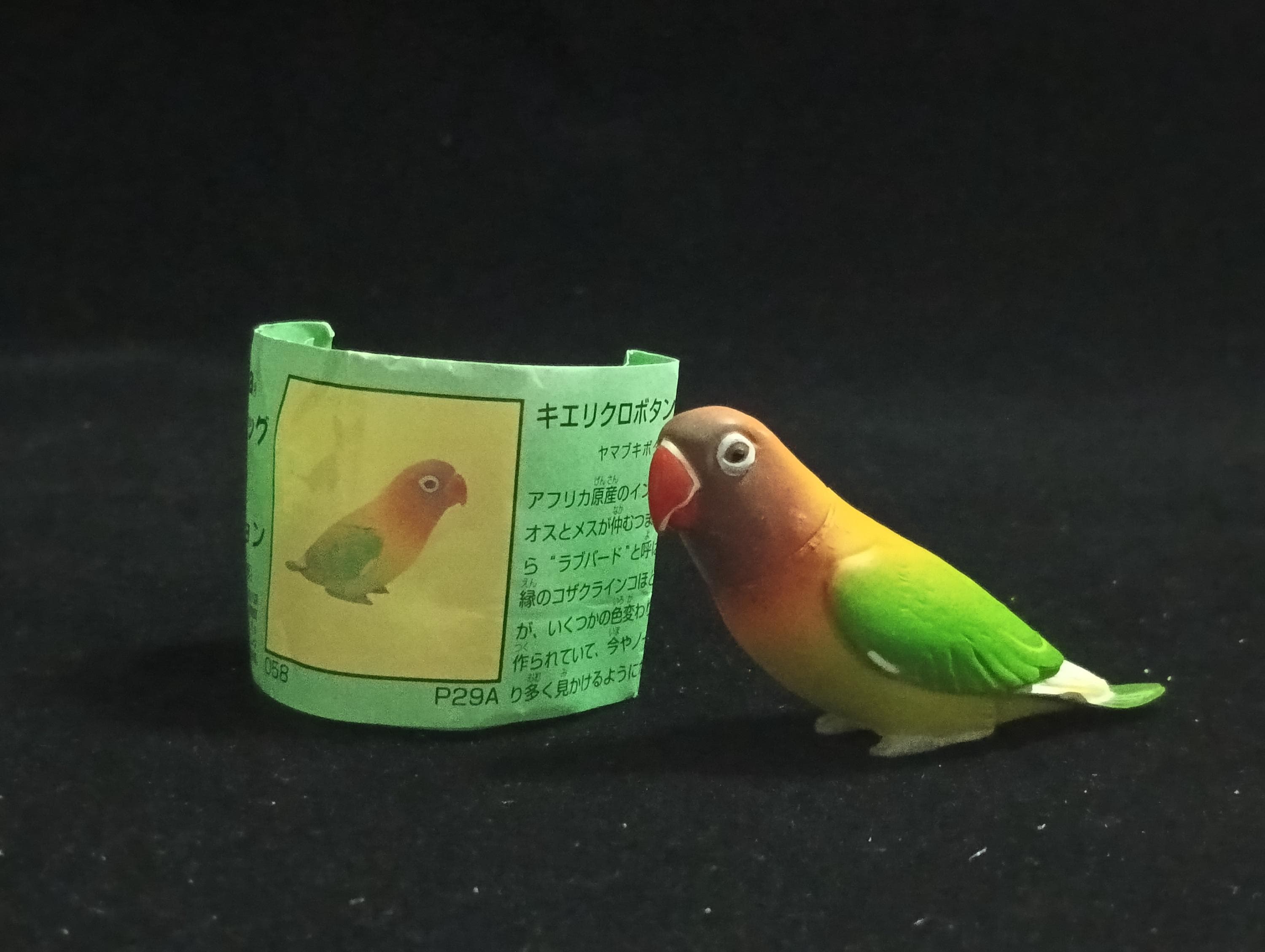 Miniature Agapornis lilianae Figurine - Furuta