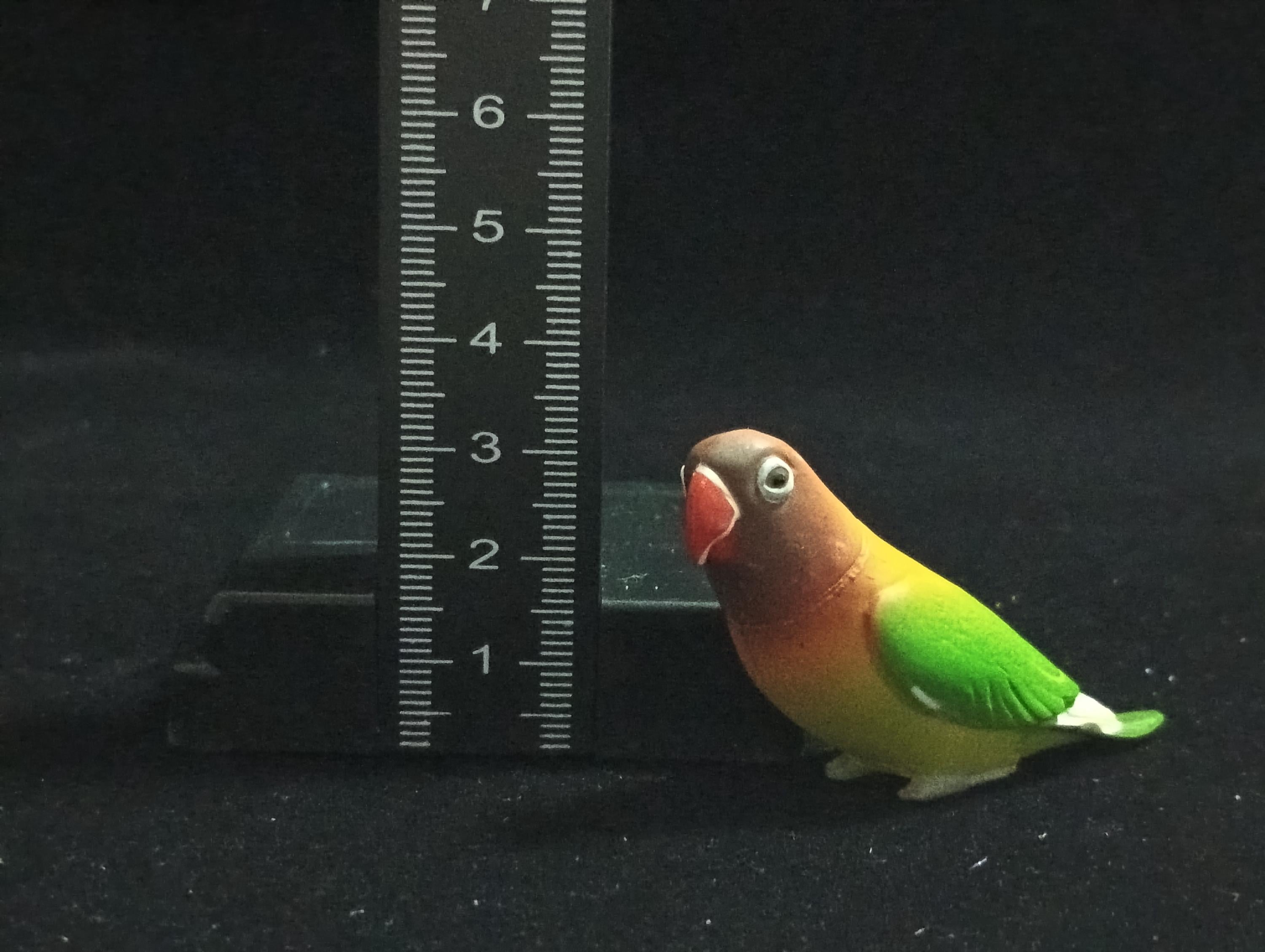Miniature Agapornis lilianae Figurine - Furuta