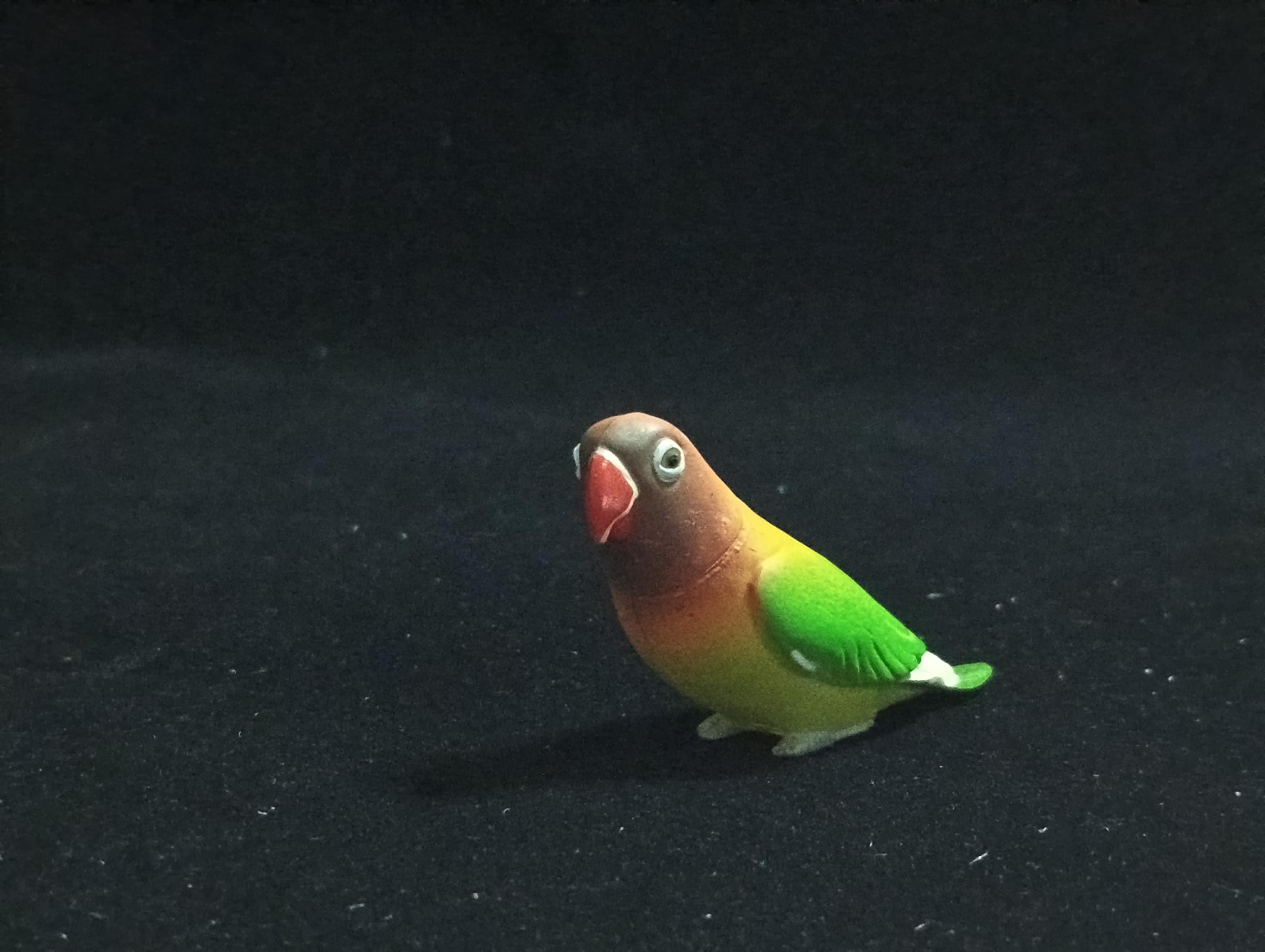 Miniature Agapornis lilianae Figurine - Furuta