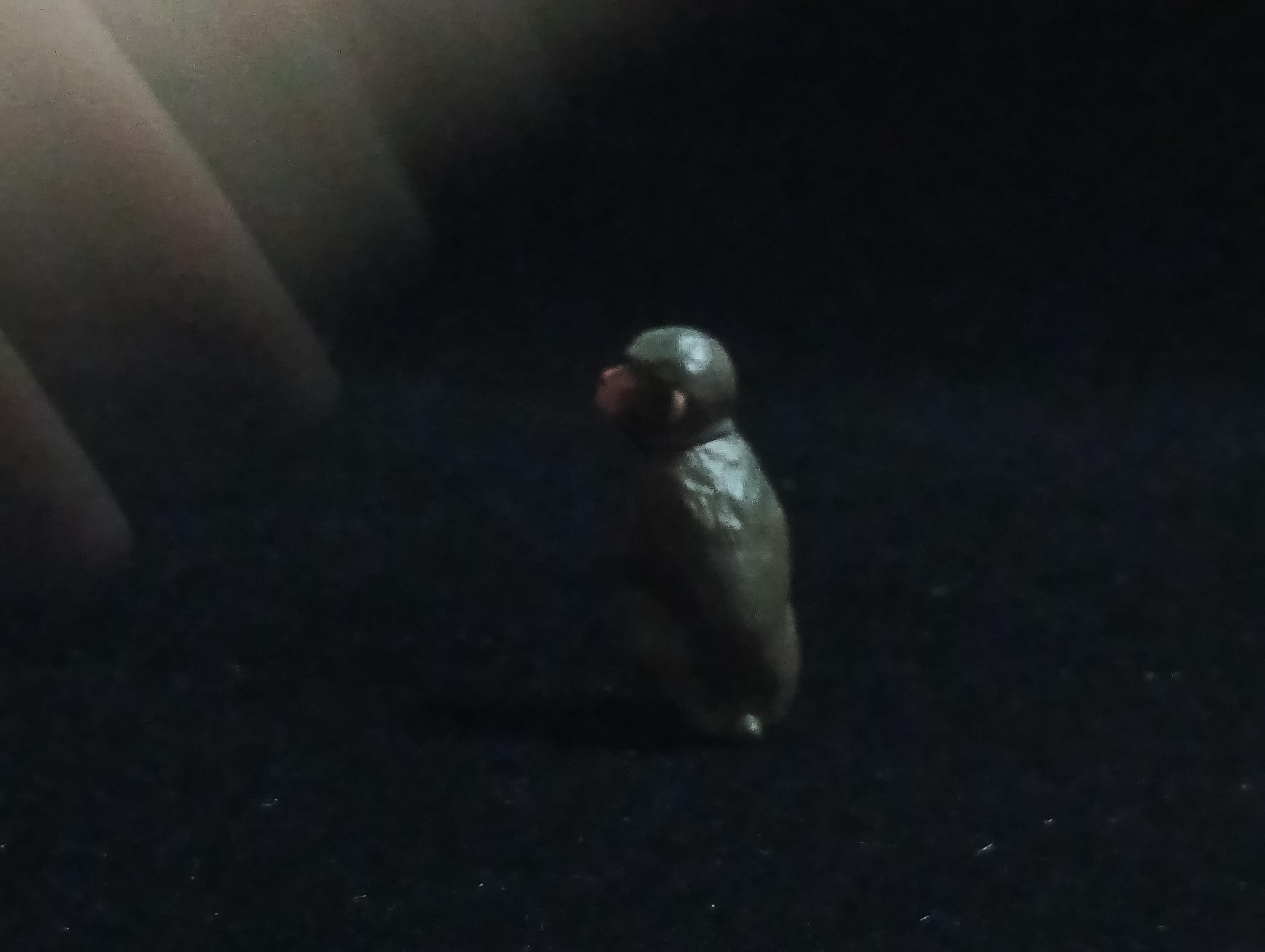 Miniature Japanese Macaques Figurine - Furuta