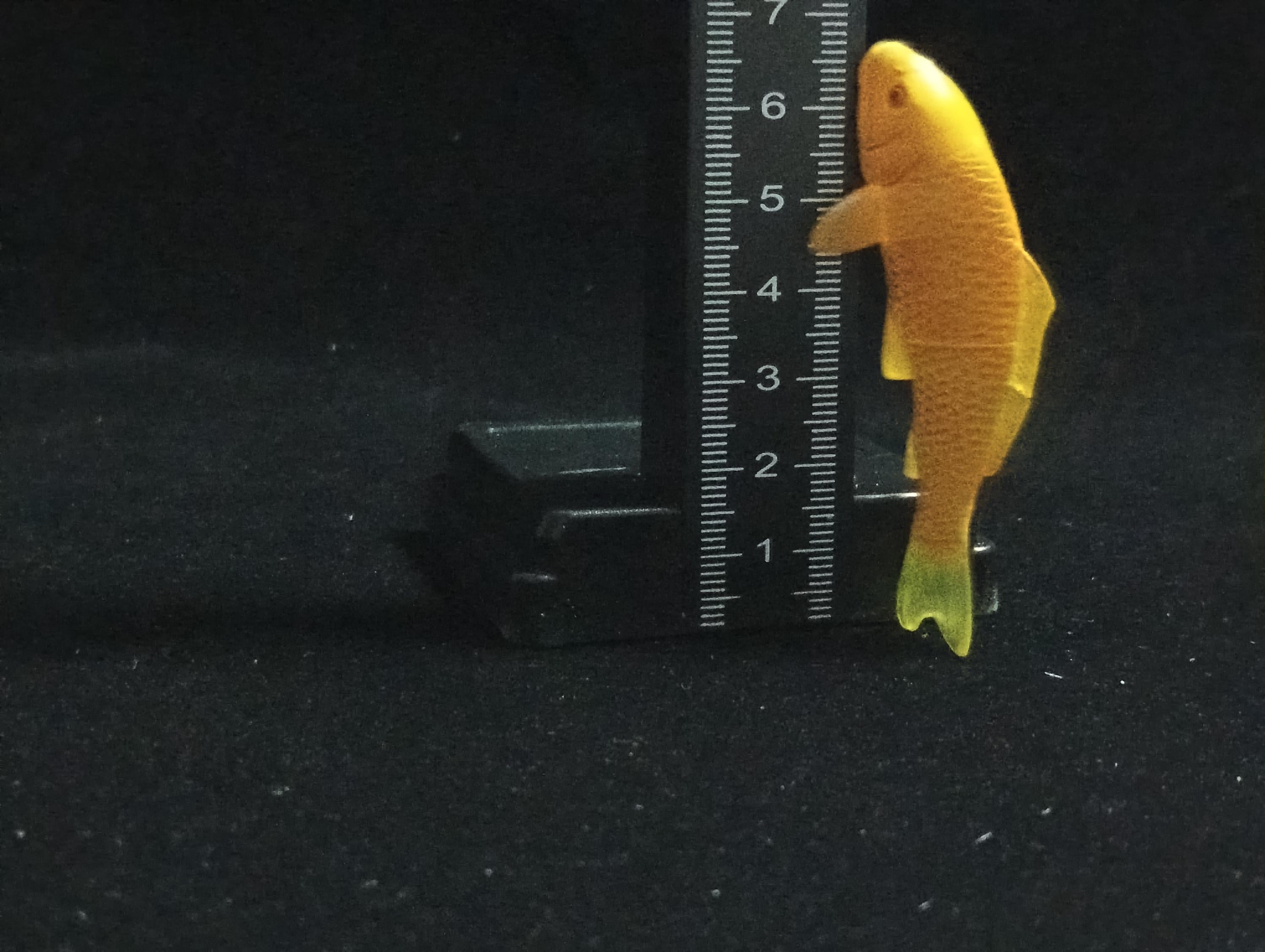 Miniature Nishikigoi (Yellow) Figurine - Furuta