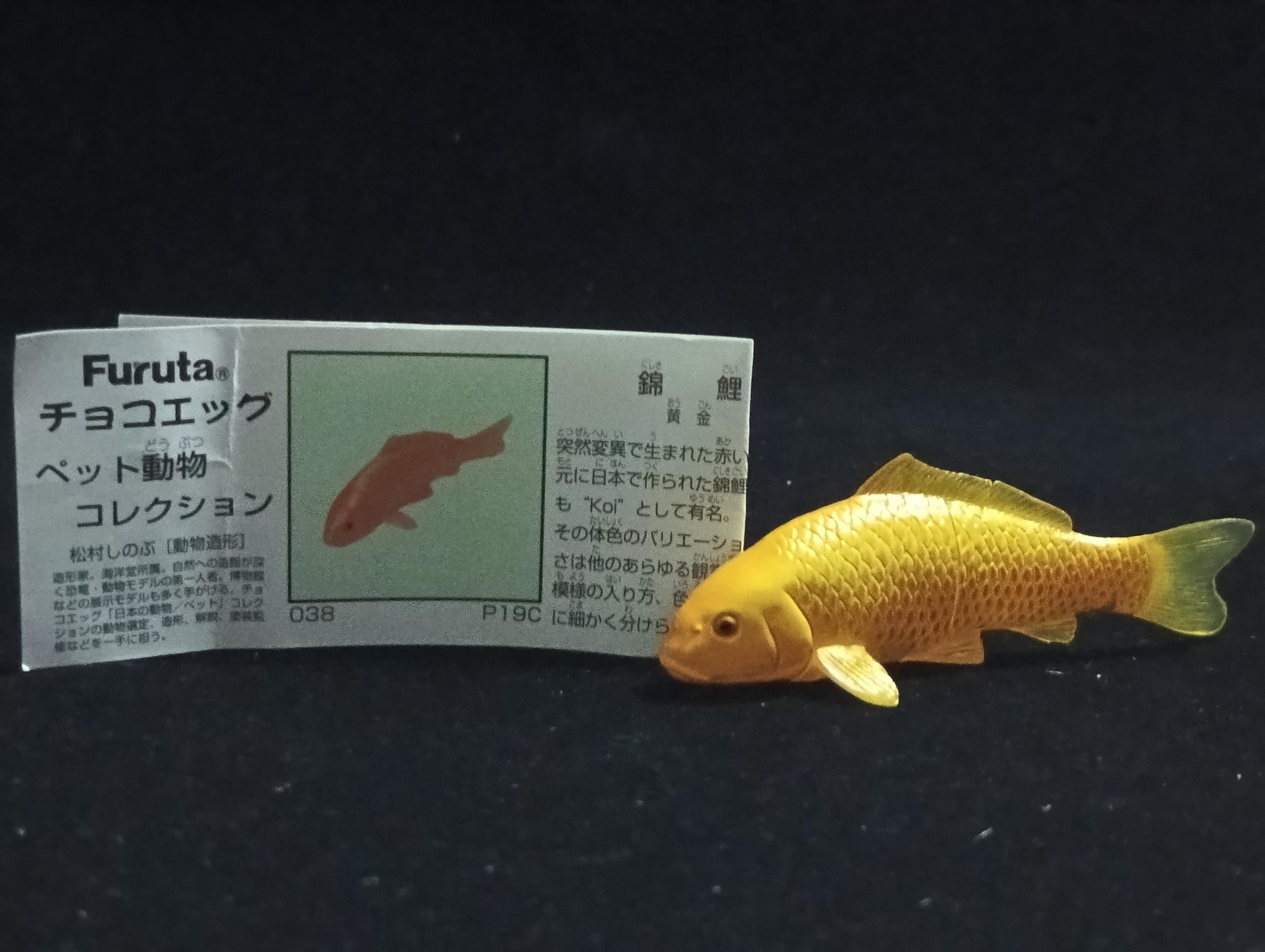 Miniature Nishikigoi (Yellow) Figurine - Furuta
