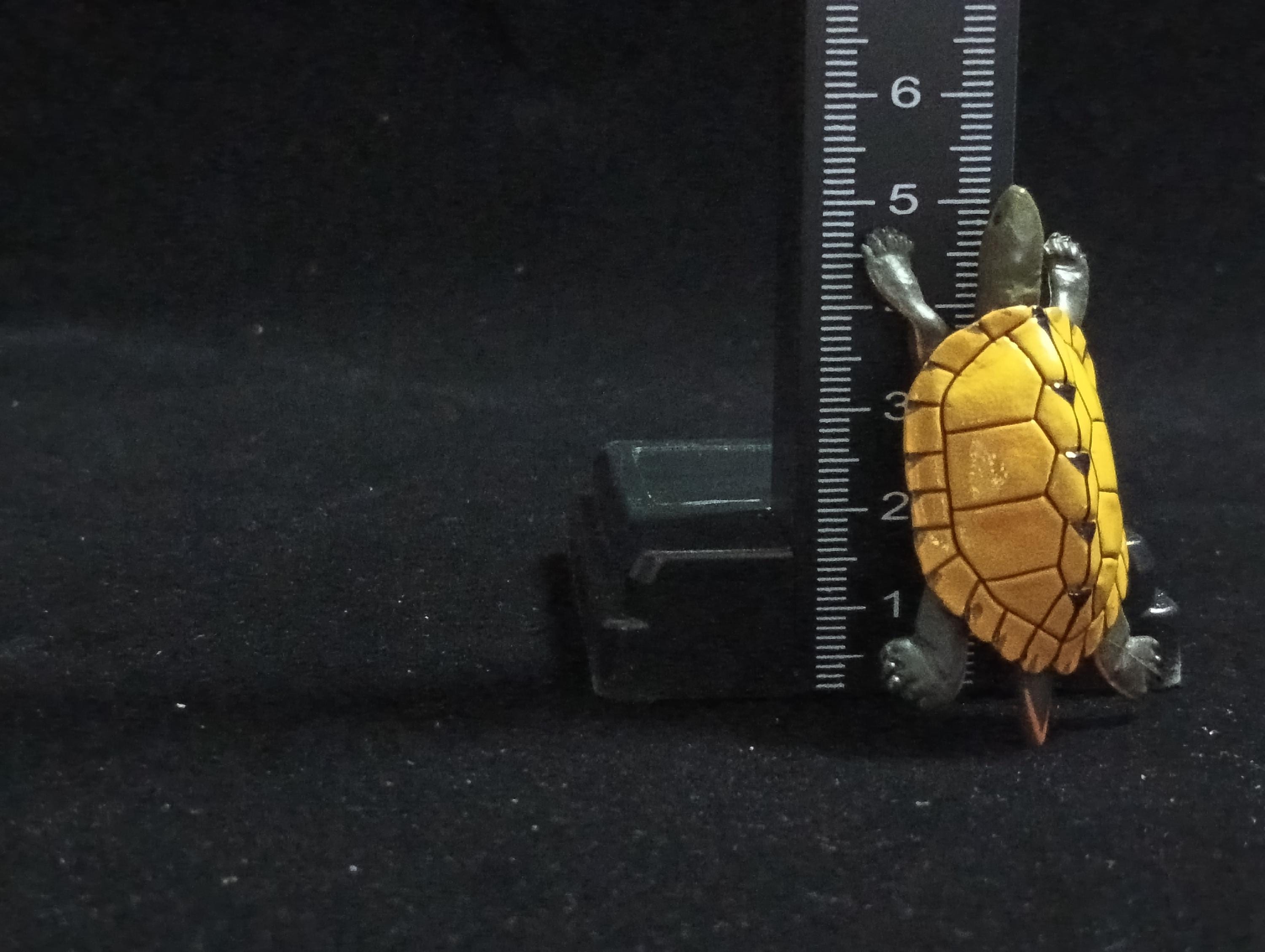 Miniature Japanese Sea Turtle Figurine - Furuta