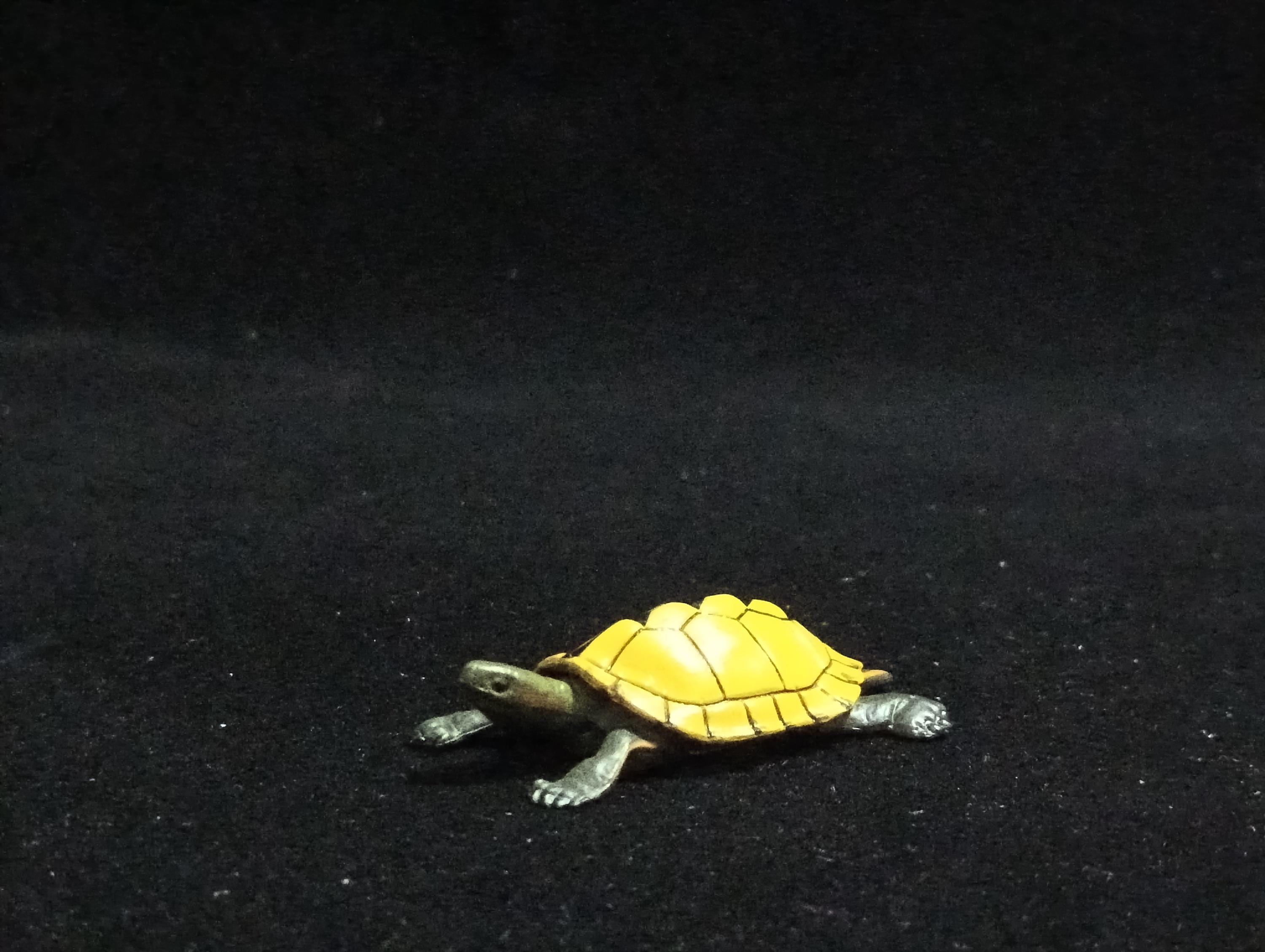 Miniature Japanese Sea Turtle Figurine - Furuta