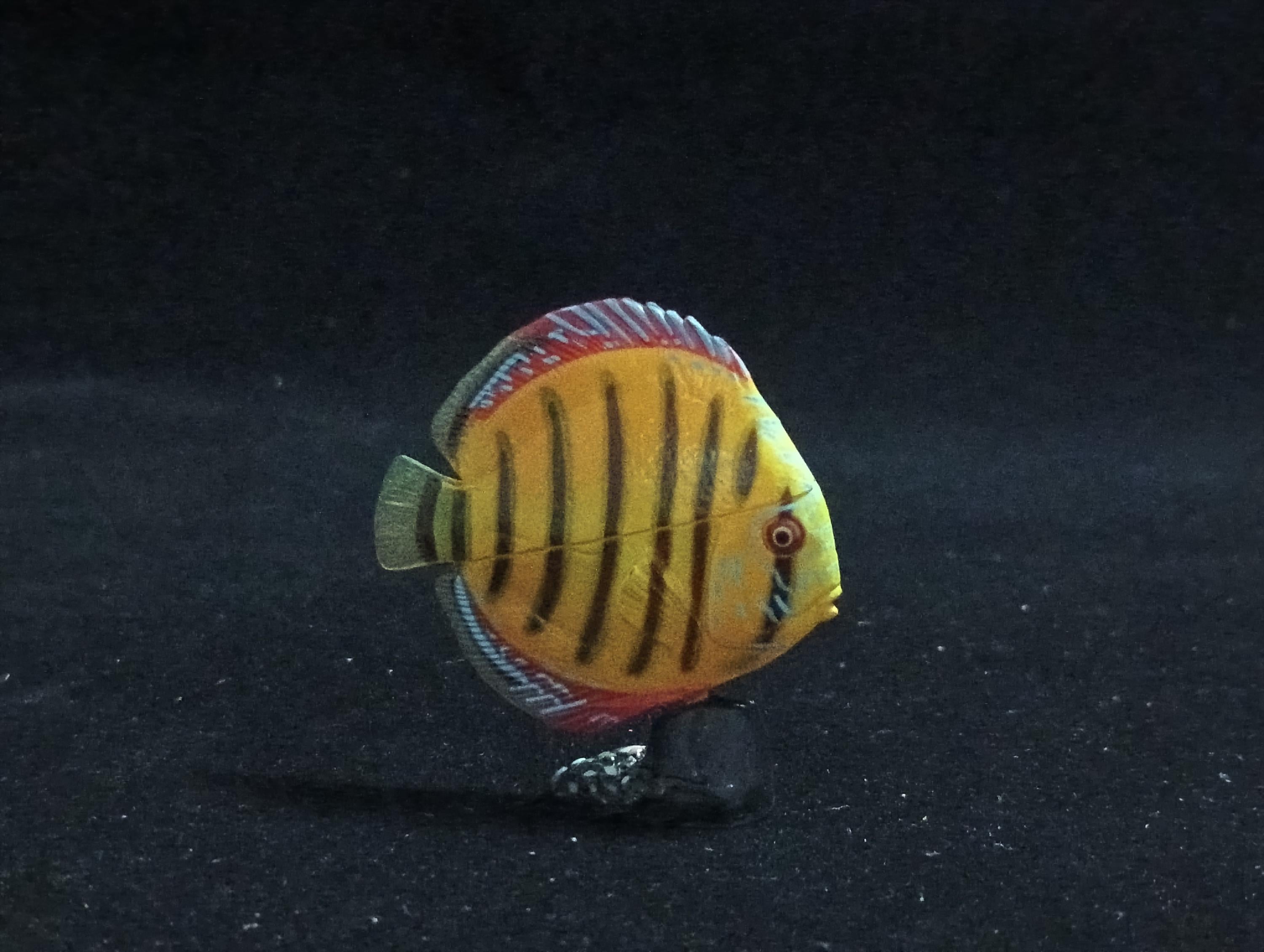 Miniature Discus Brown Fish Figurine - Furuta