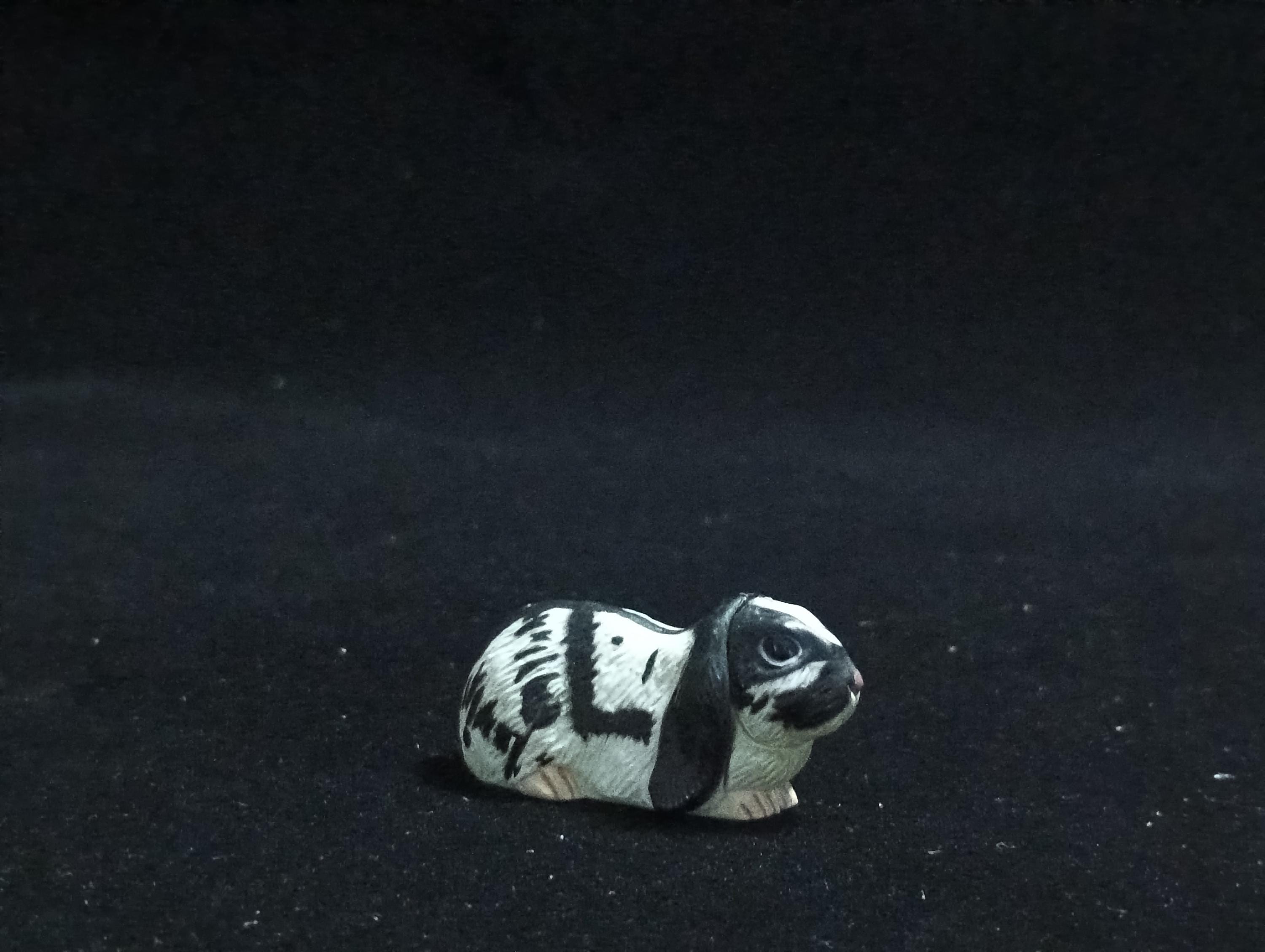 Miniature Lop Ear(Black-White) Figurine - Furuta