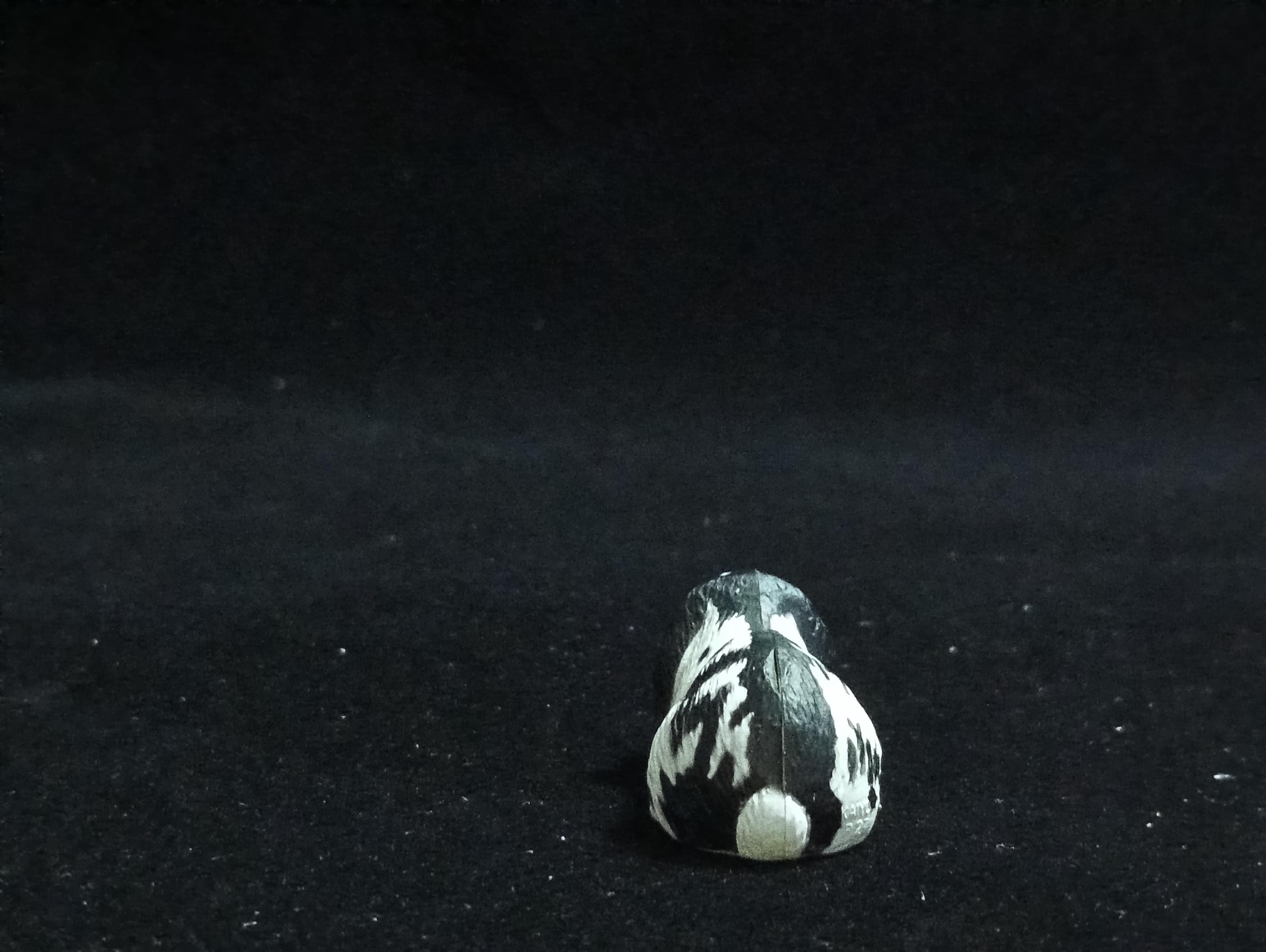 Miniature Lop Ear(Black-White) Figurine - Furuta