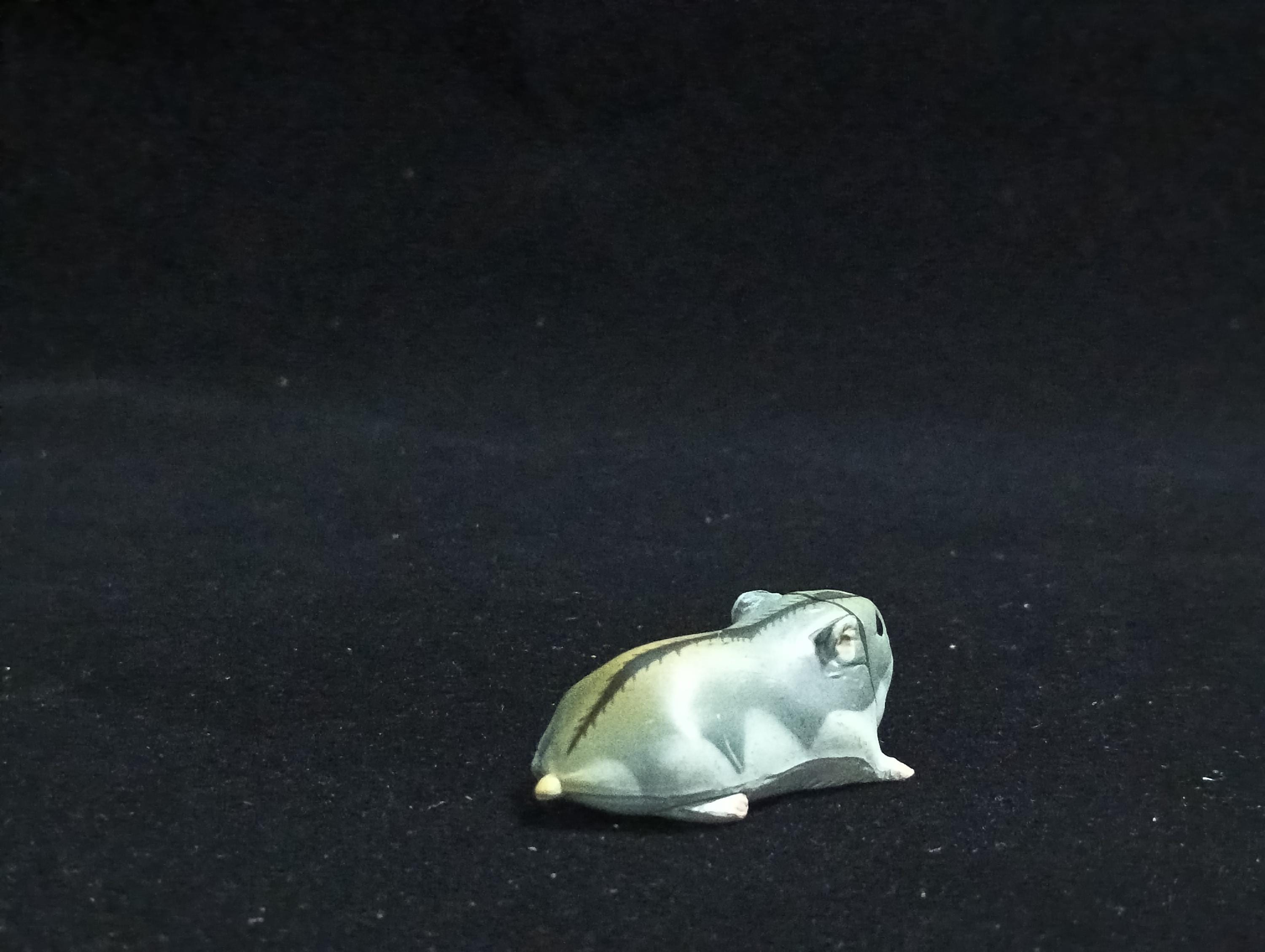 Miniature Lop Ear(Grey) Figurine - Furuta