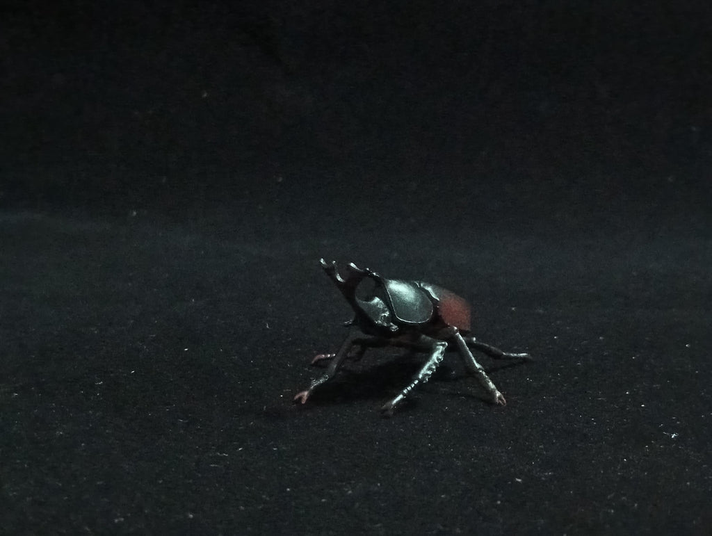 Miniature Rhinoceros Beetle Figurine - Furuta
