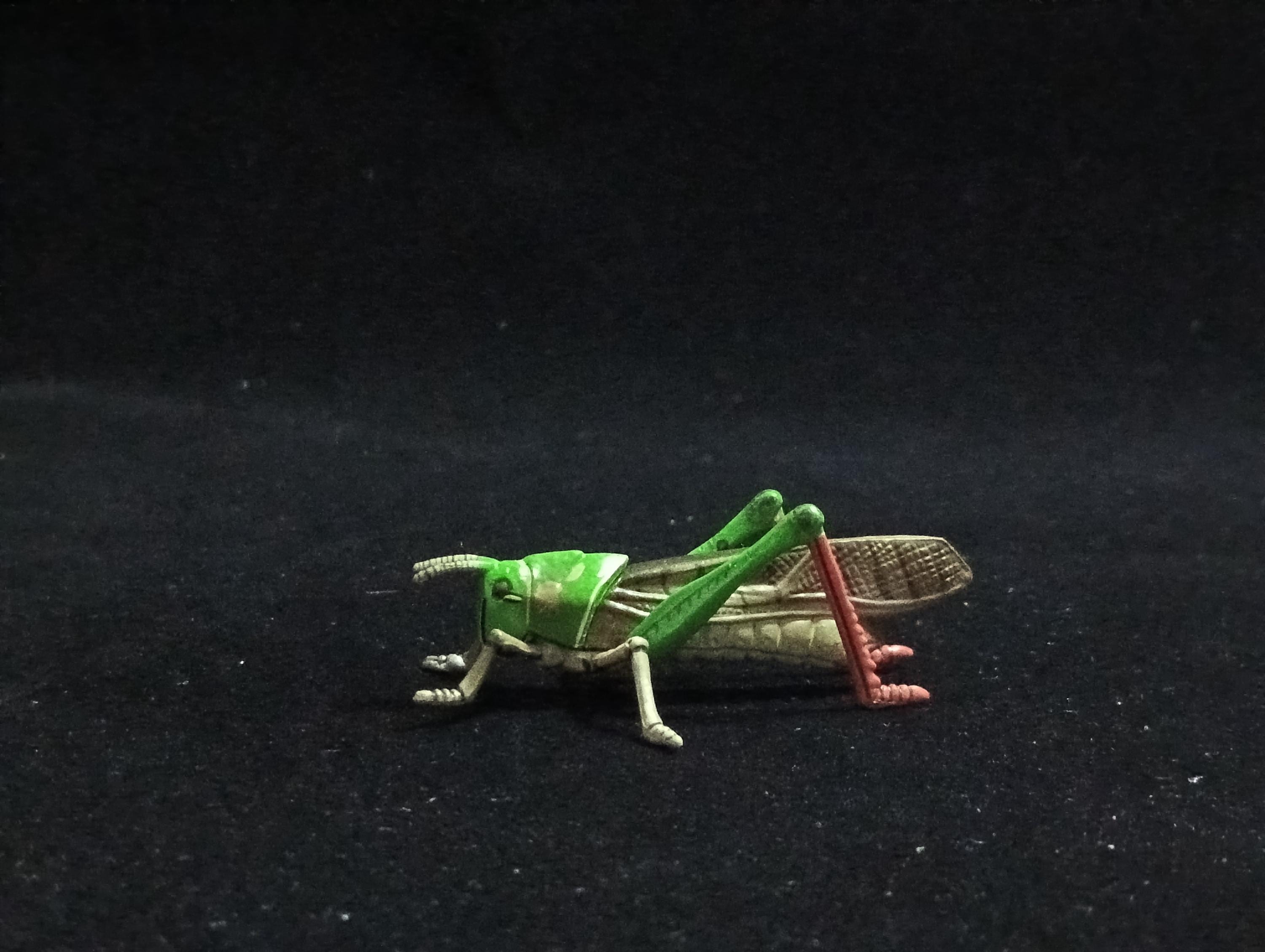 Miniature Migratory Locust Figurine - Furuta