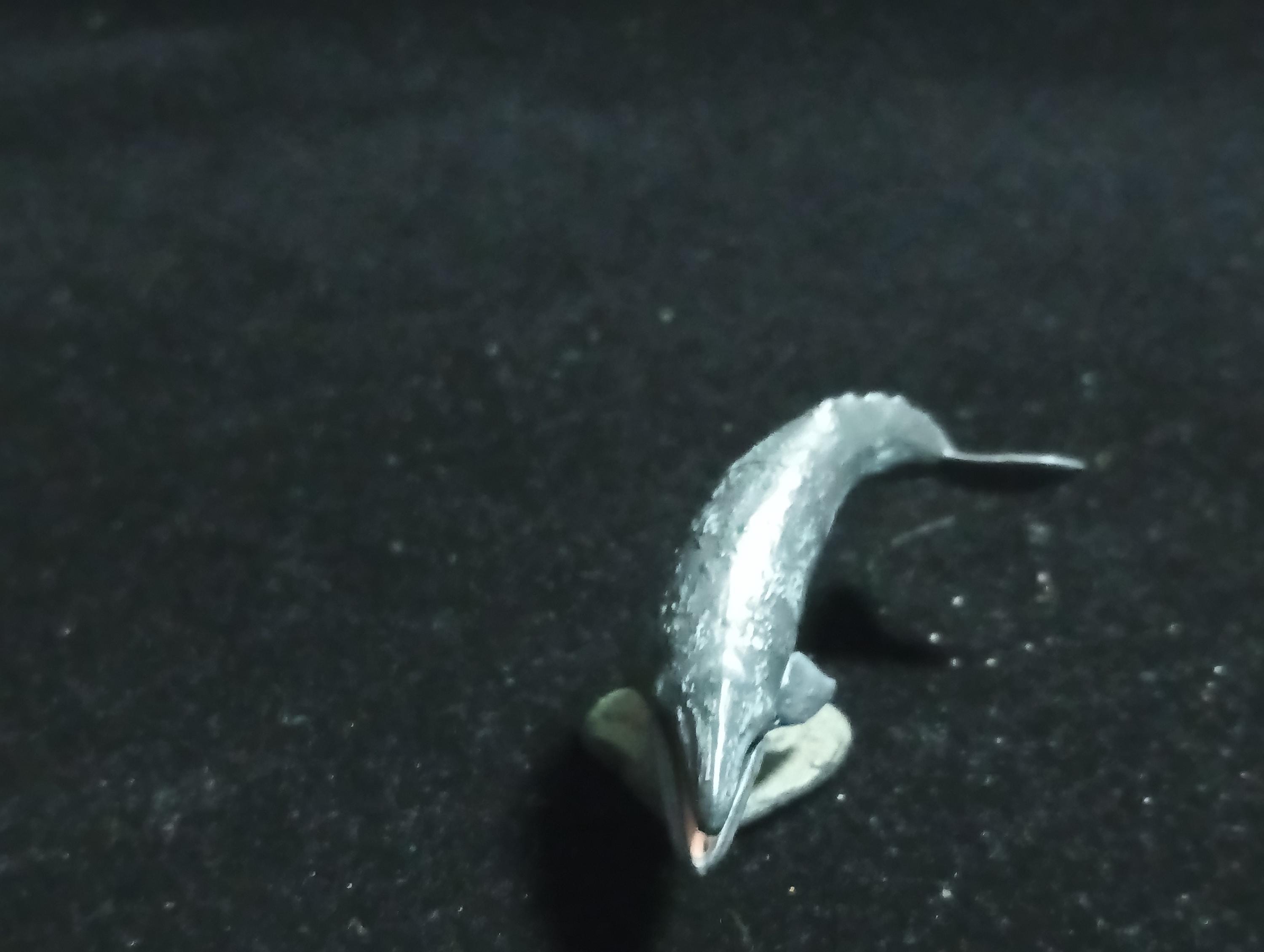Kaiyodo Animatales Choco Q Series 11 Western Gray Whale