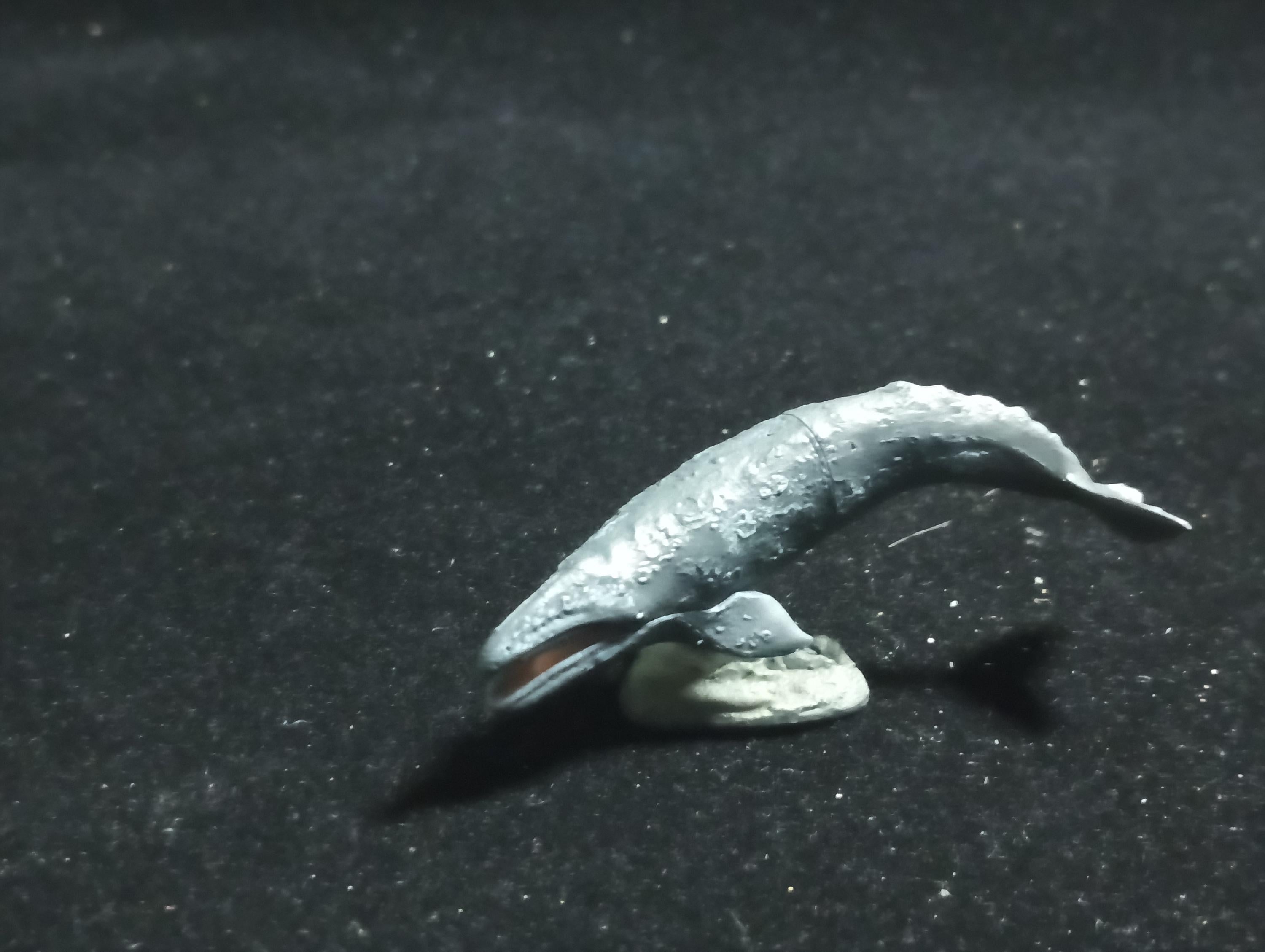 Kaiyodo Animatales Choco Q Series 11 Western Gray Whale