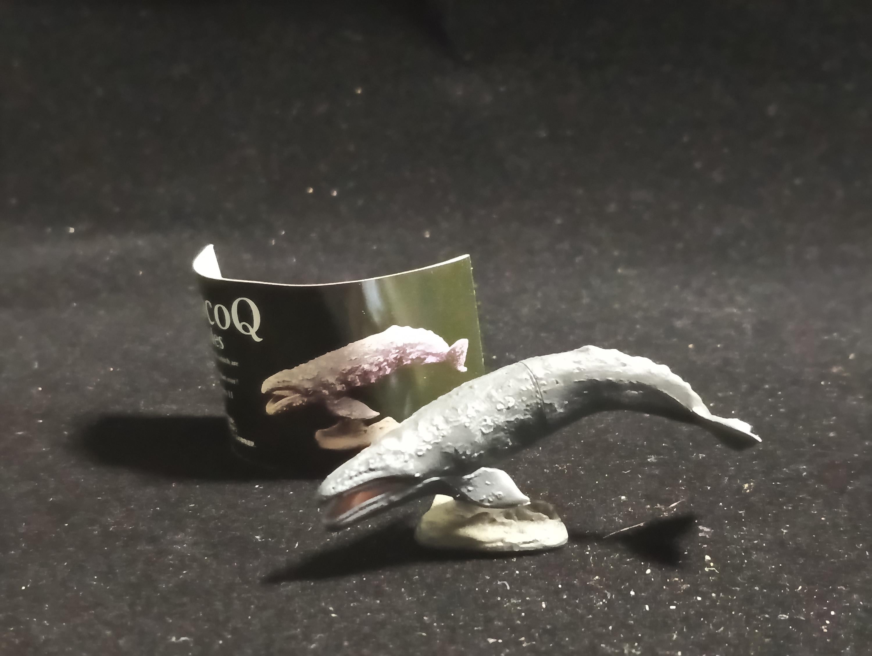 Kaiyodo Animatales Choco Q Series 11 Western Gray Whale