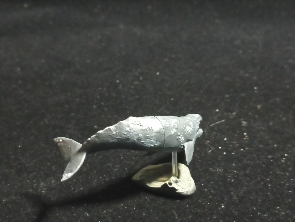 Kaiyodo Animatales Choco Q Series 11 Western Gray Whale