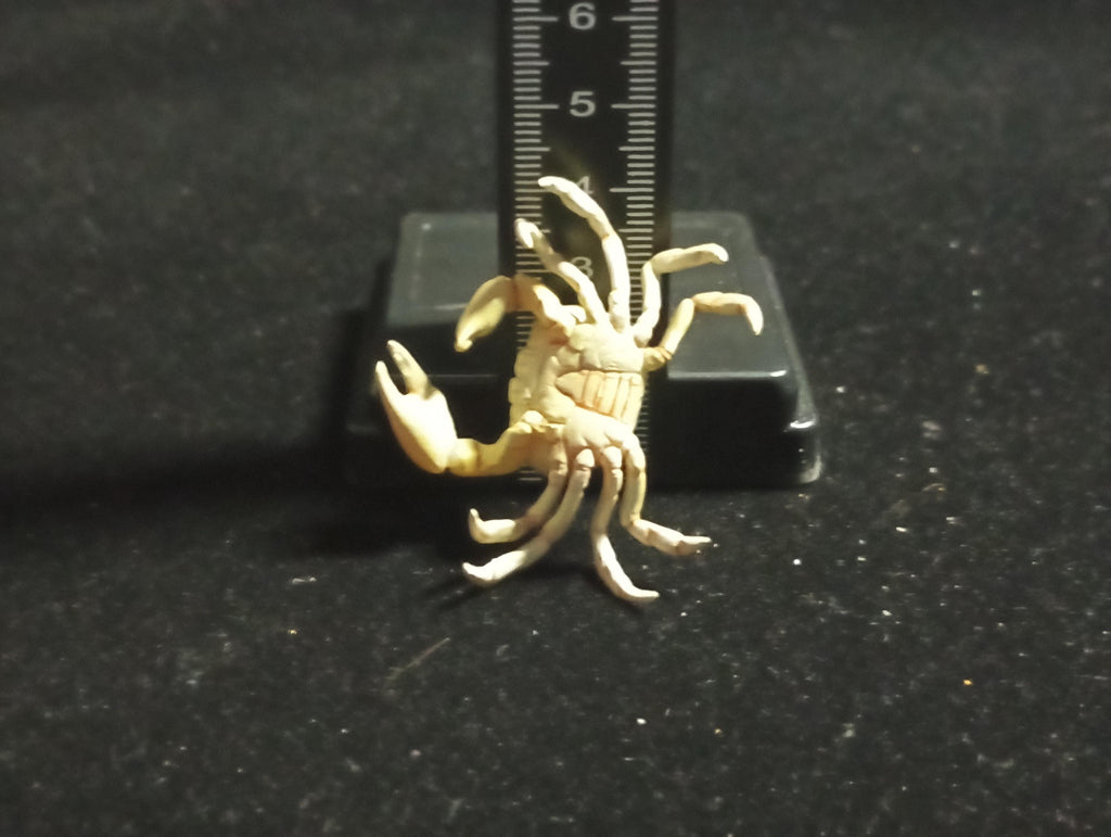 Kaiyodo Animatales Choco Q Series 11 SP Freshwater crab (White)