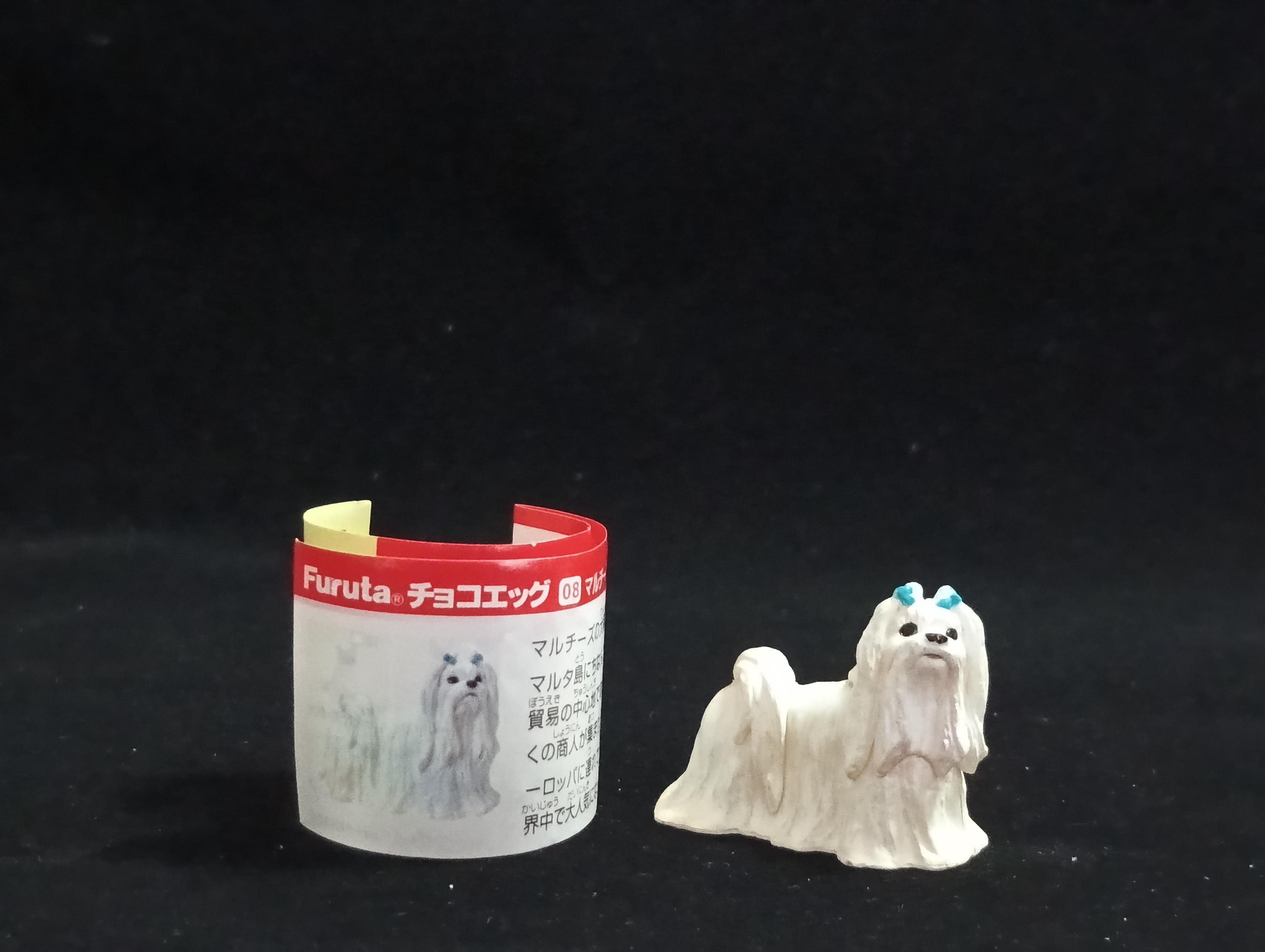 Miniature Maltese pure white Figurine - Furuta