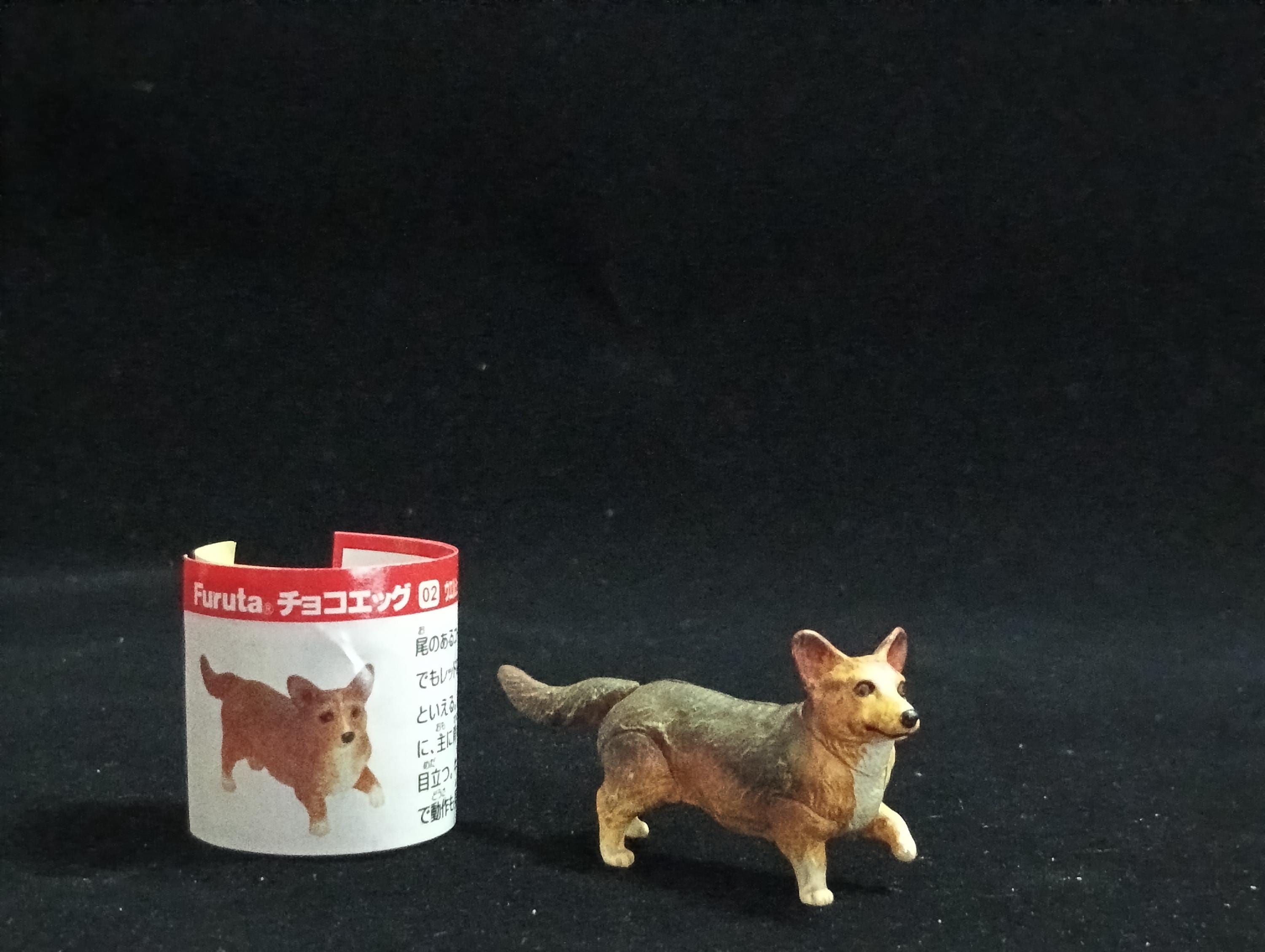 Miniature Welsh Corgi Dog (Brown-Black) Figurine - Furuta