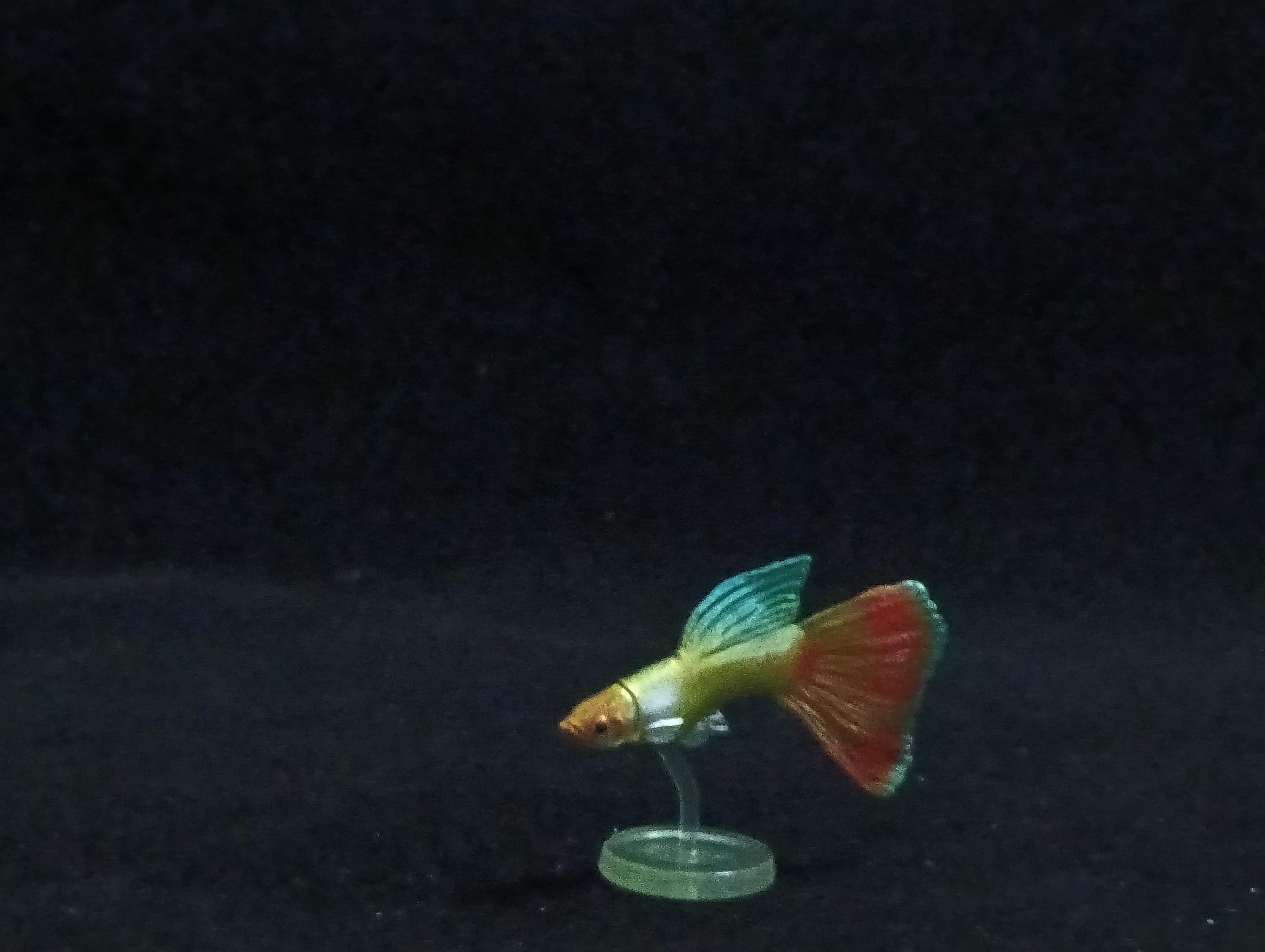 Miniature Guppy Figurine - Furuta