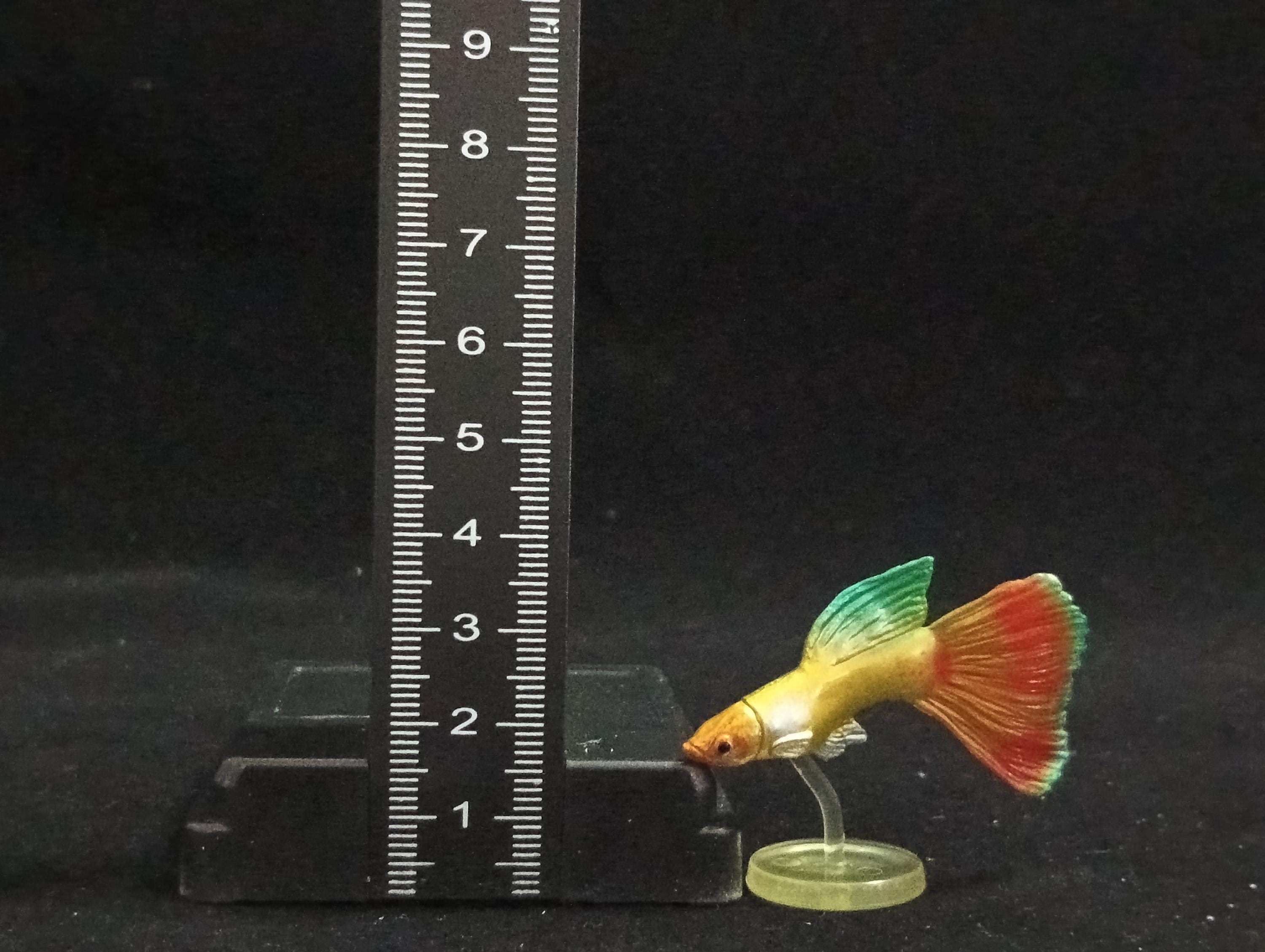 Miniature Guppy Figurine - Furuta