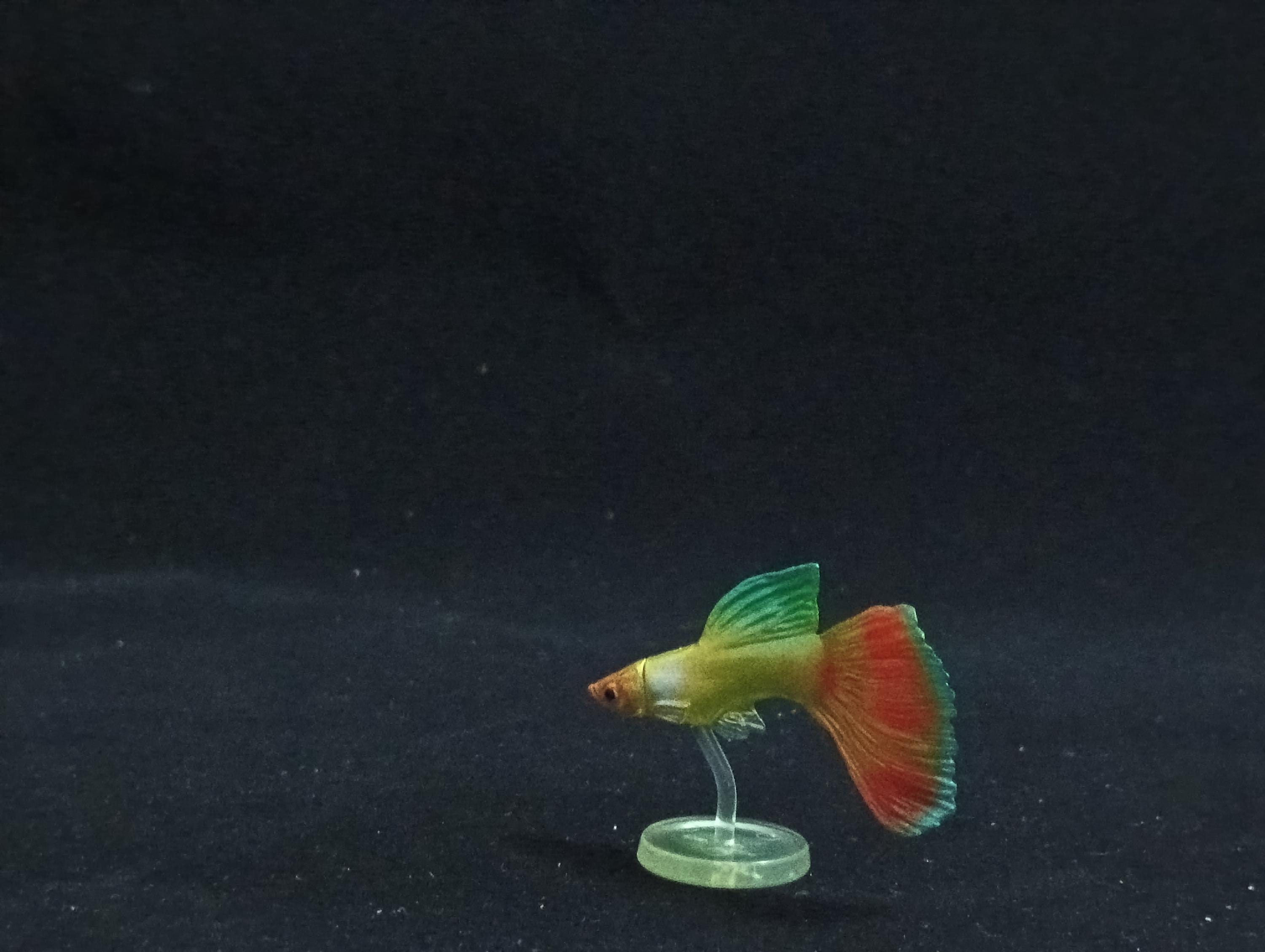 Miniature Guppy Figurine - Furuta
