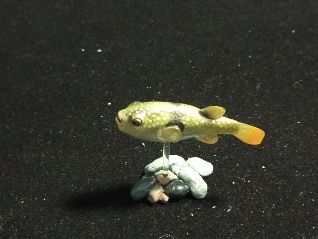 Freshwater Fish Encyclopedia 2: Kusafugu Figure, River Fish, Yujin