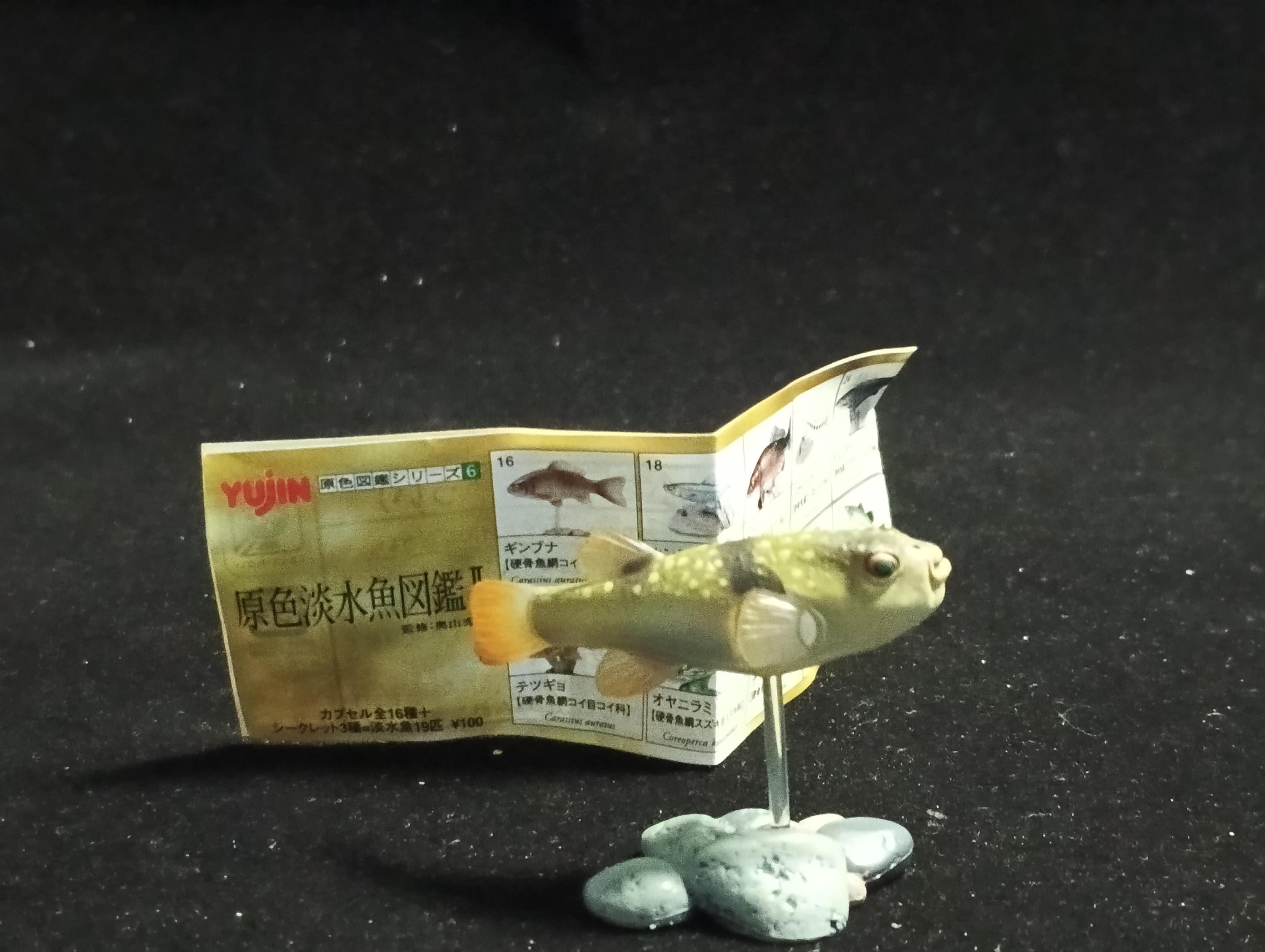 Freshwater Fish Encyclopedia 2: Kusafugu Figure, River Fish, Yujin