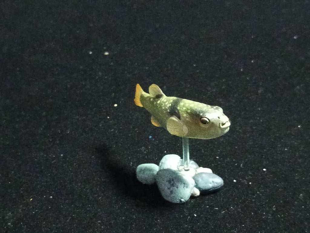 Freshwater Fish Encyclopedia 2: Kusafugu Figure, River Fish, Yujin