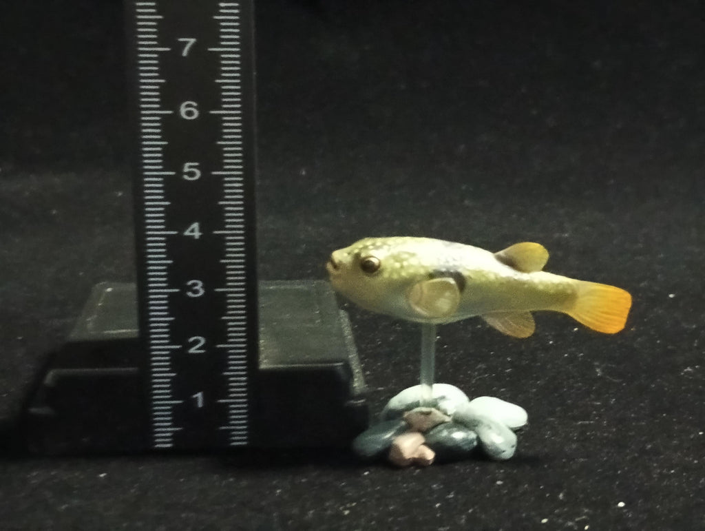Freshwater Fish Encyclopedia 2: Kusafugu Figure, River Fish, Yujin