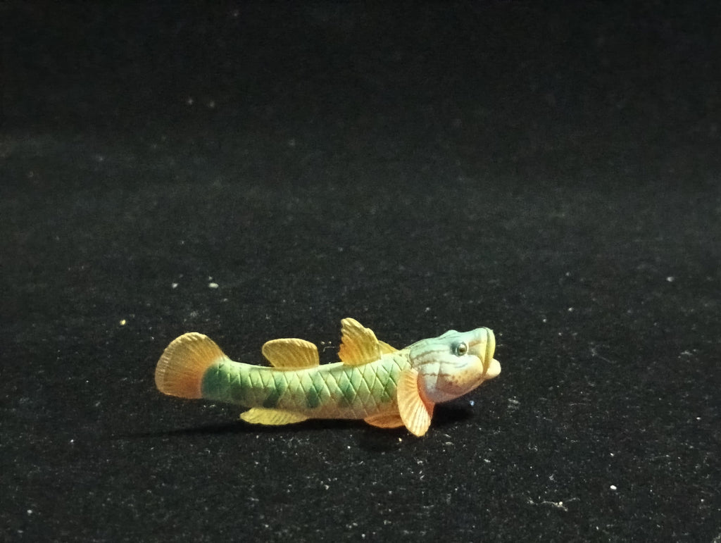 Freshwater Fish Encyclopedia 2: Toyoshinobori, River Fish, Yujin SP
