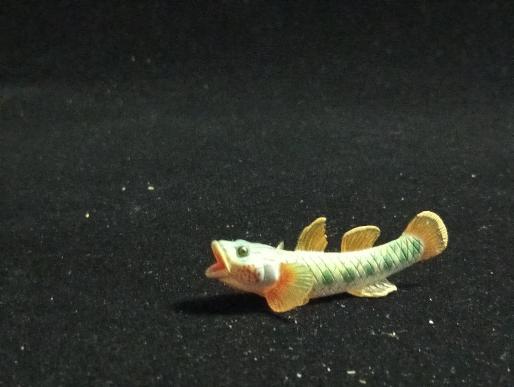 Freshwater Fish Encyclopedia 2: Toyoshinobori, River Fish, Yujin SP