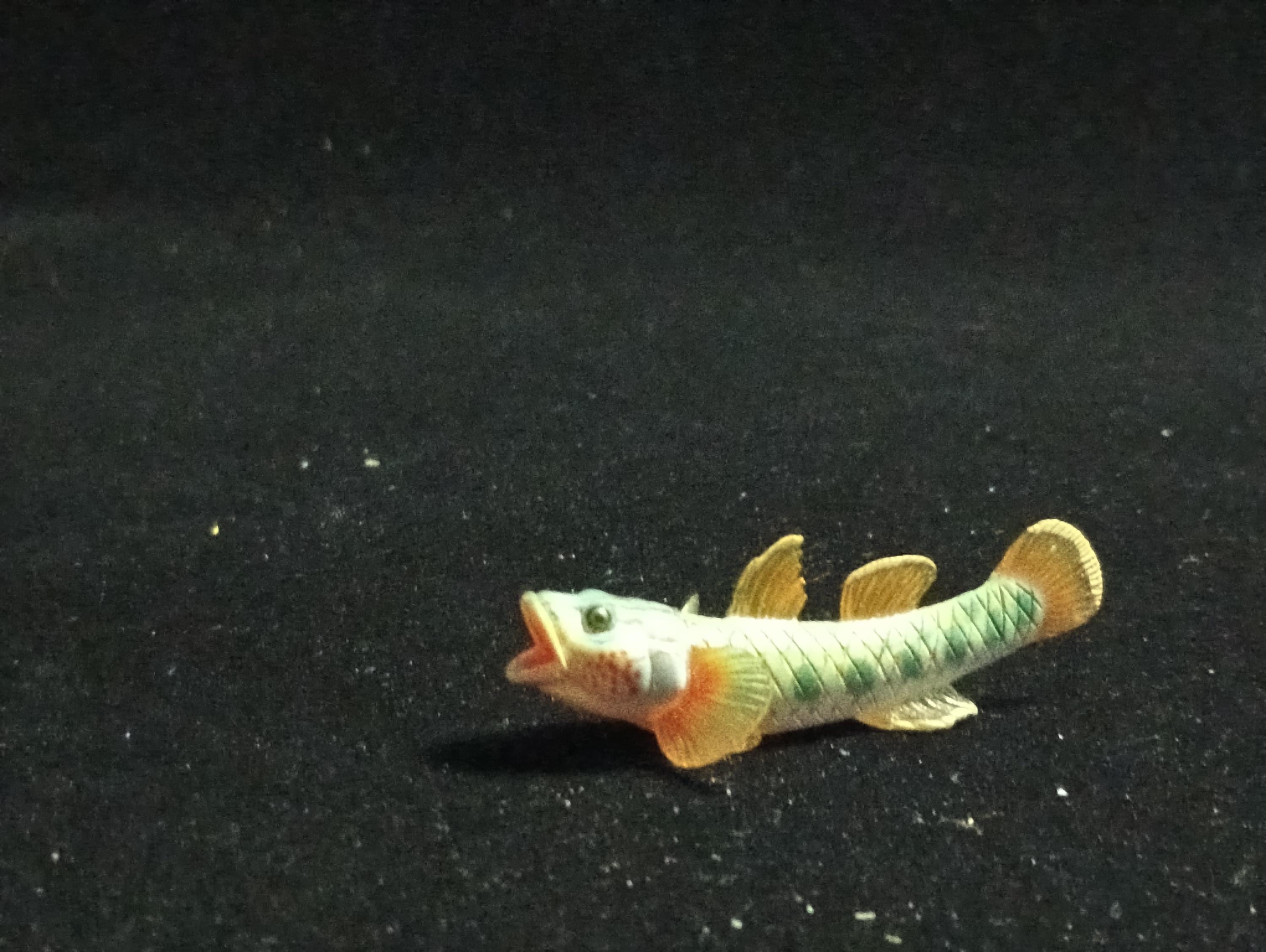 Freshwater Fish Encyclopedia 2: Toyoshinobori, River Fish, Yujin SP