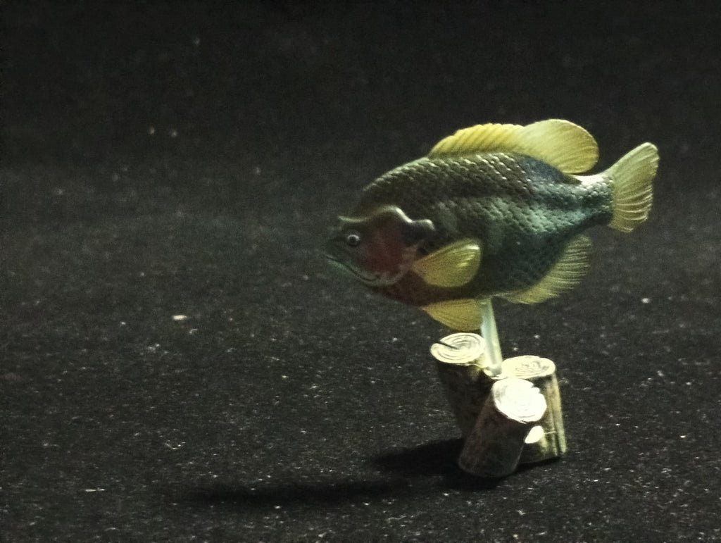 Freshwater Fish Encyclopedia 2: Bluegill, River Fish, Yujin