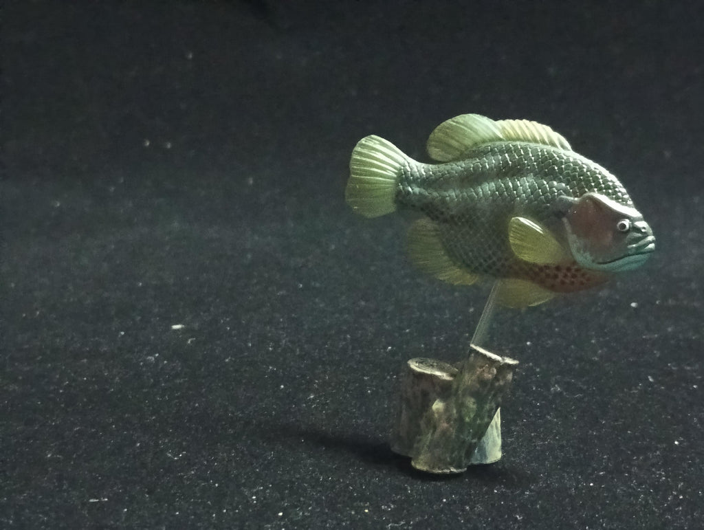 Freshwater Fish Encyclopedia 2: Bluegill, River Fish, Yujin