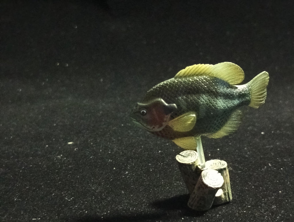 Freshwater Fish Encyclopedia 2: Bluegill, River Fish, Yujin