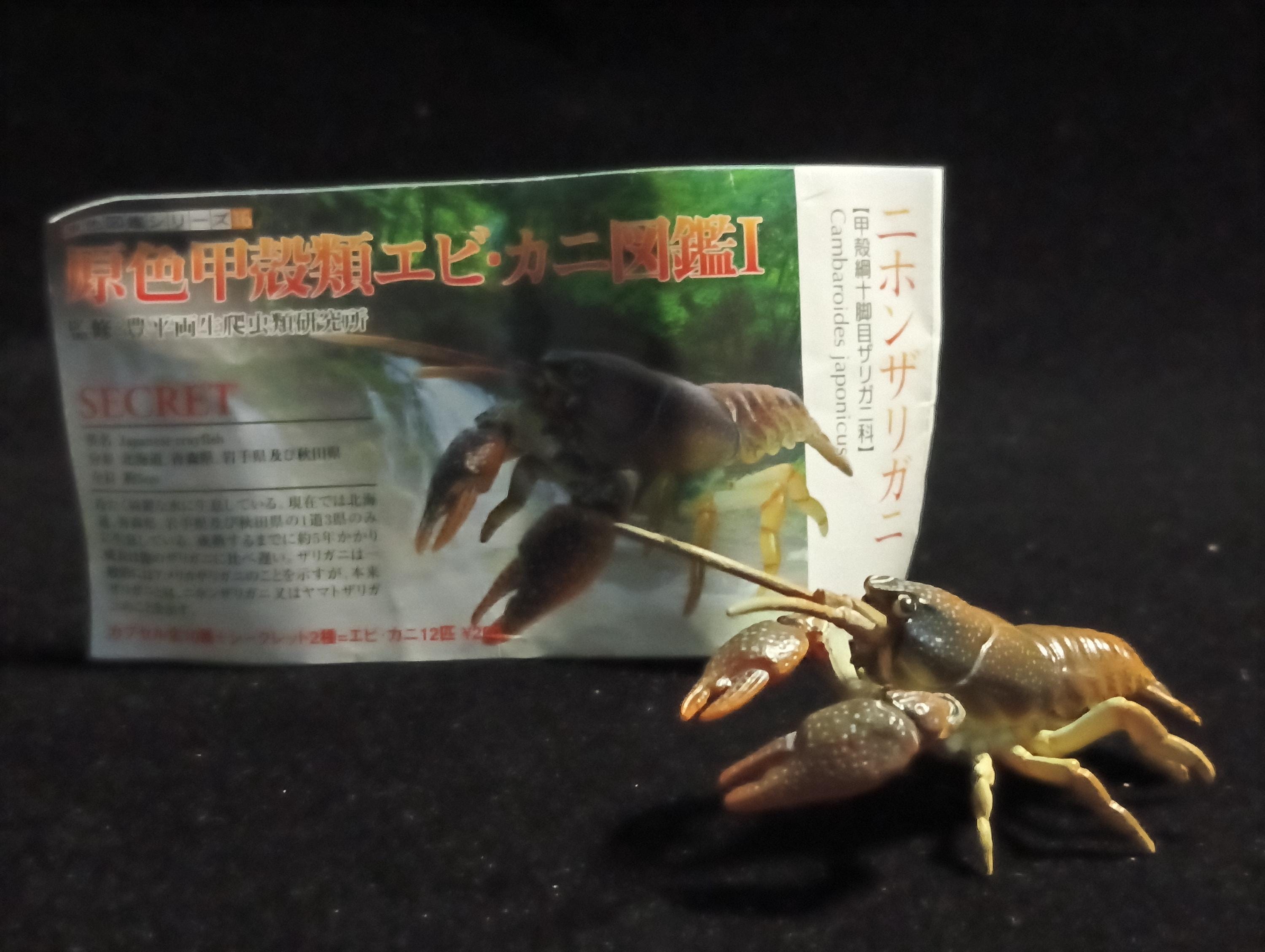 Yujin Takara Kaiyodo Retired Japan Exclusive Japanese crayfish Secret item