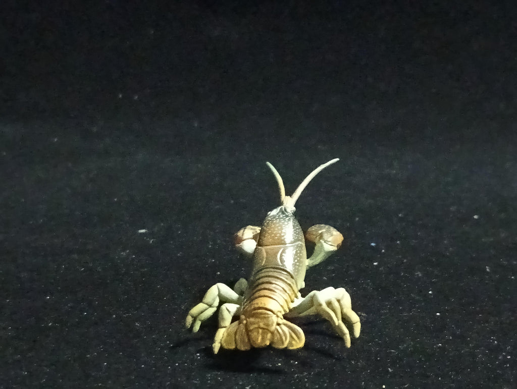 Yujin Takara Kaiyodo Retired Japan Exclusive Japanese crayfish Secret item