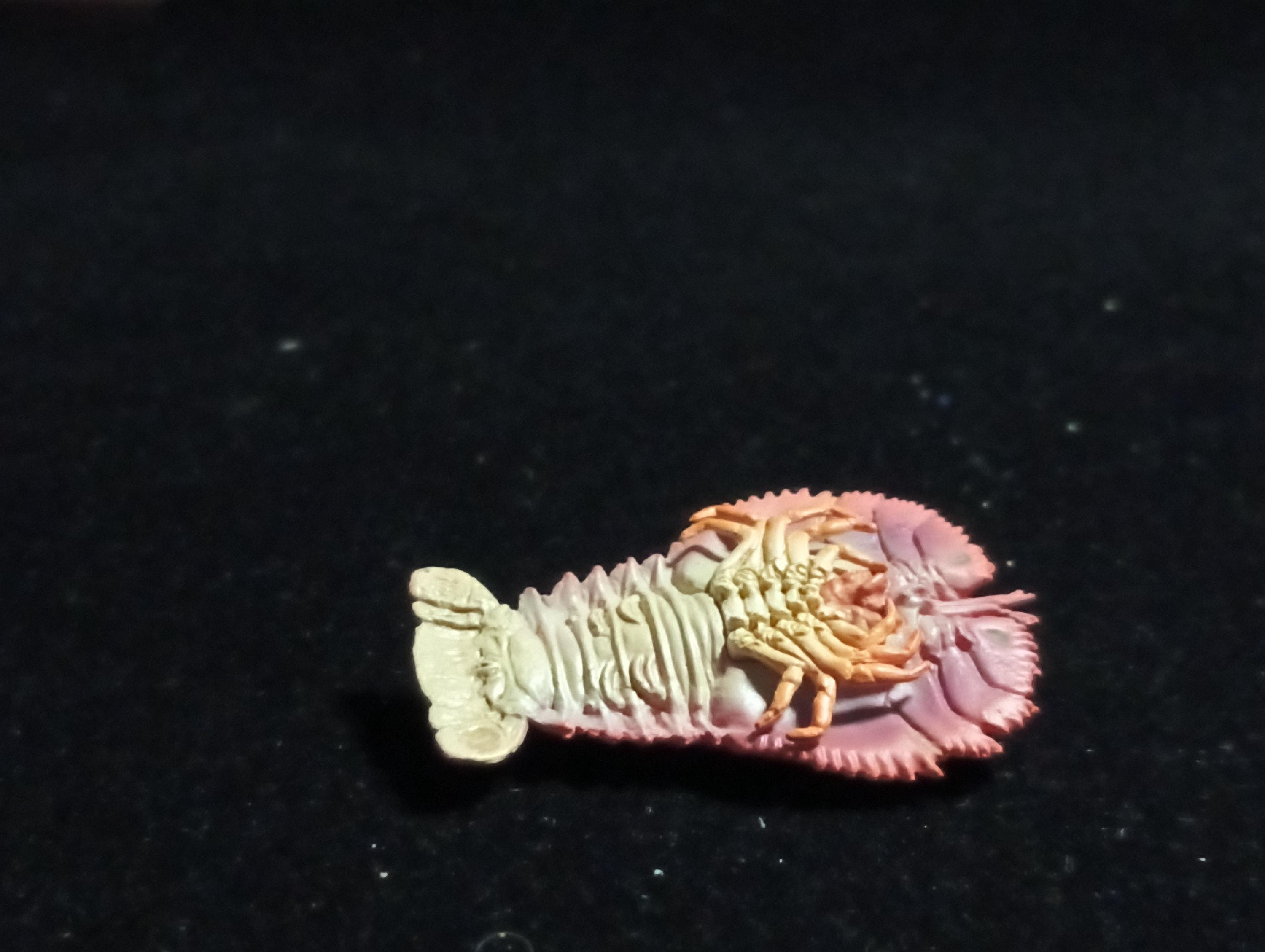 Yujin Takara Kaiyodo Retired Japan Exclusive Ingredients Uchiwa Shrimp