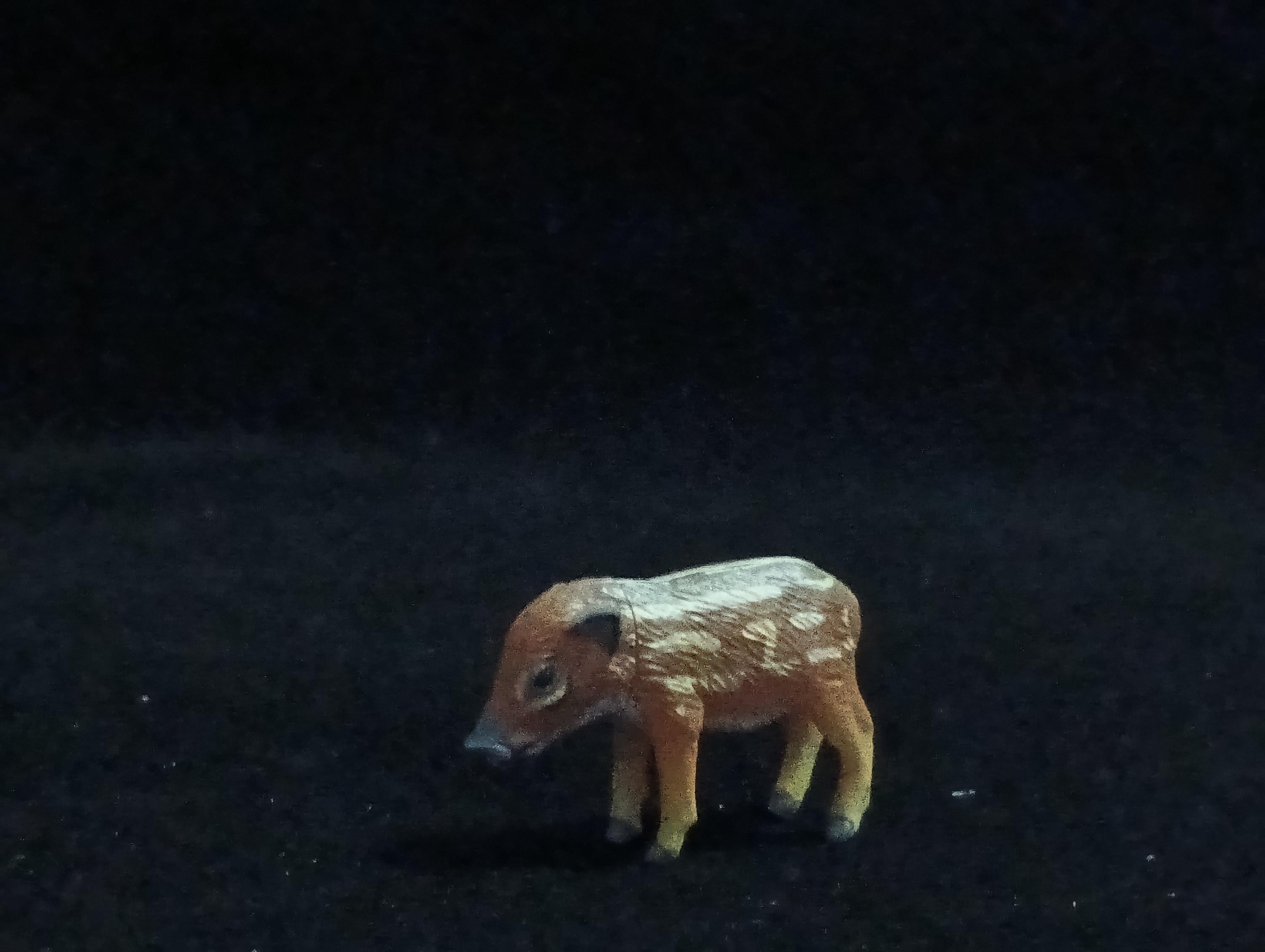 Miniature Baby wild boar Figurine - Furuta