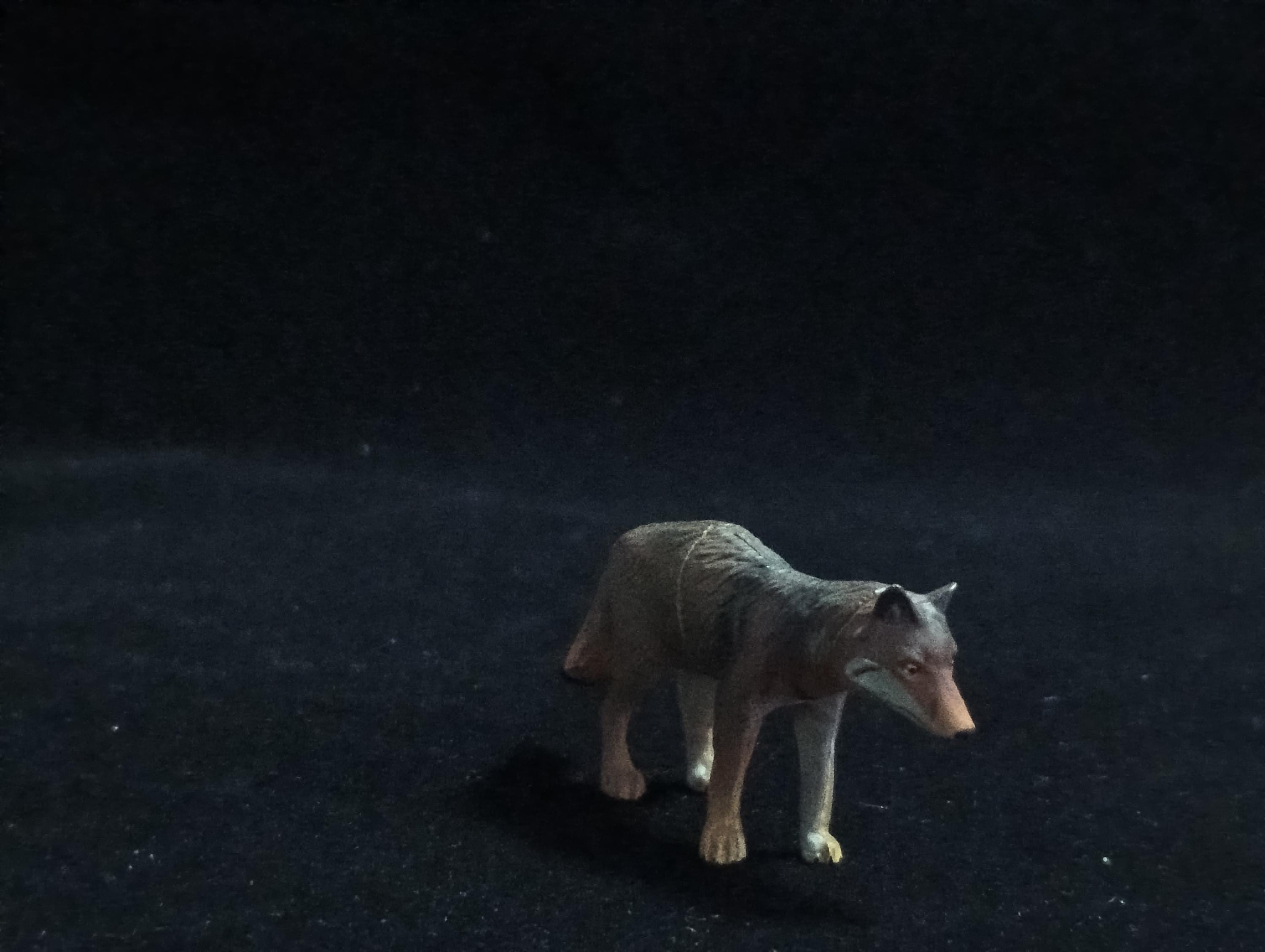 Miniature Japanese wolf Figurine - Furuta