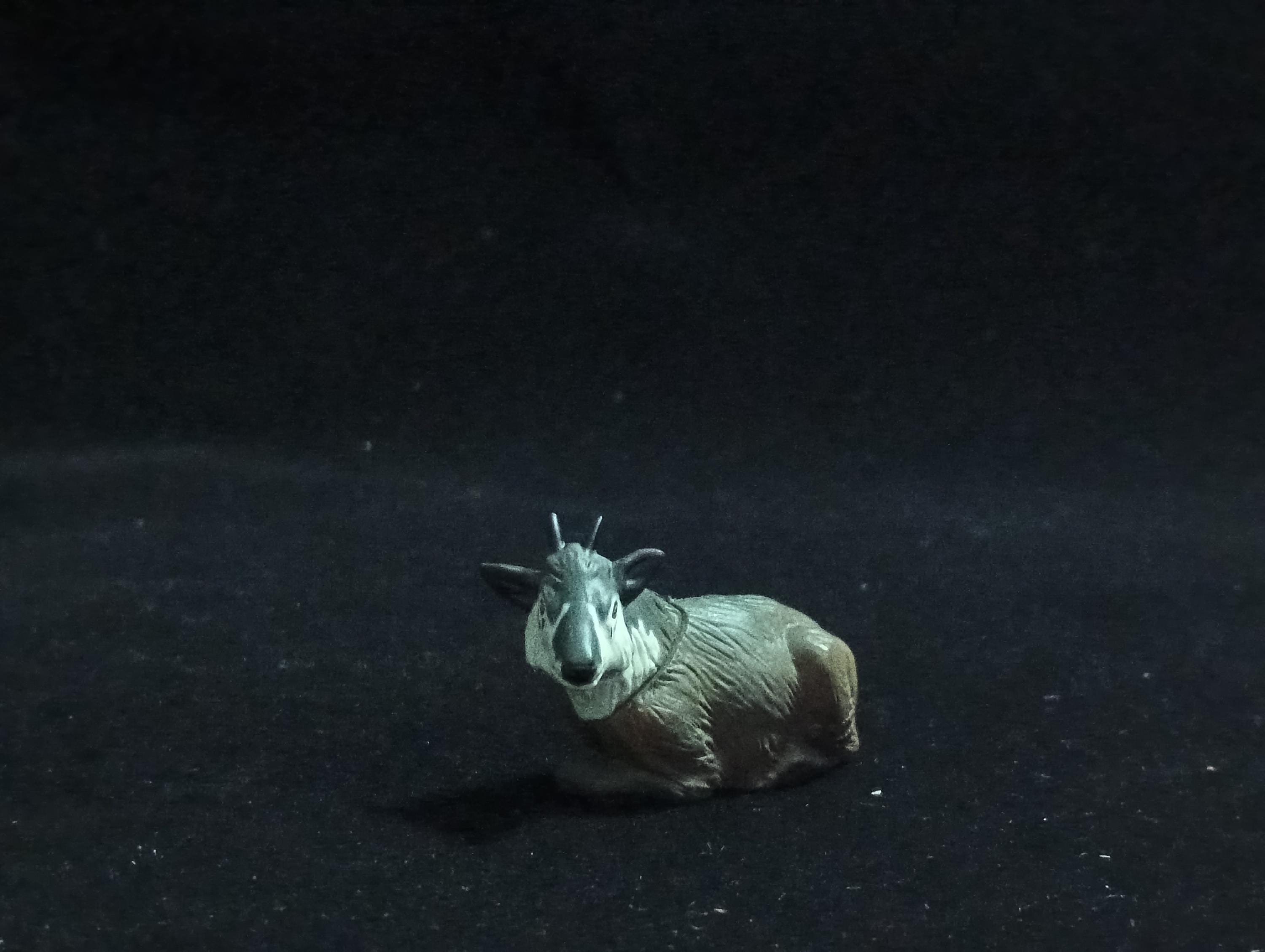 Miniature Capricornis crispus Figurine - Furuta