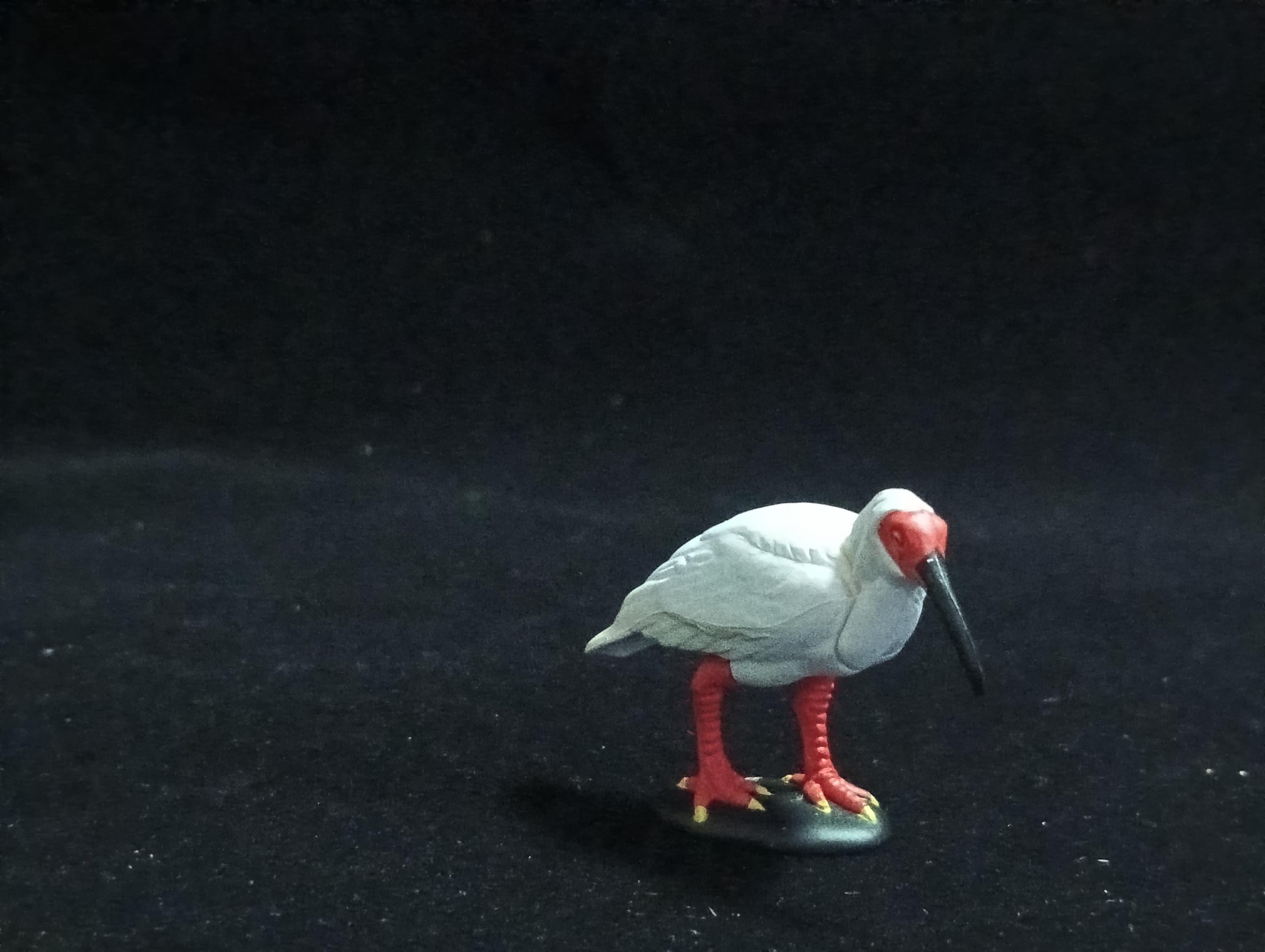 Miniature Japanese crested ibis Figurine - Furuta