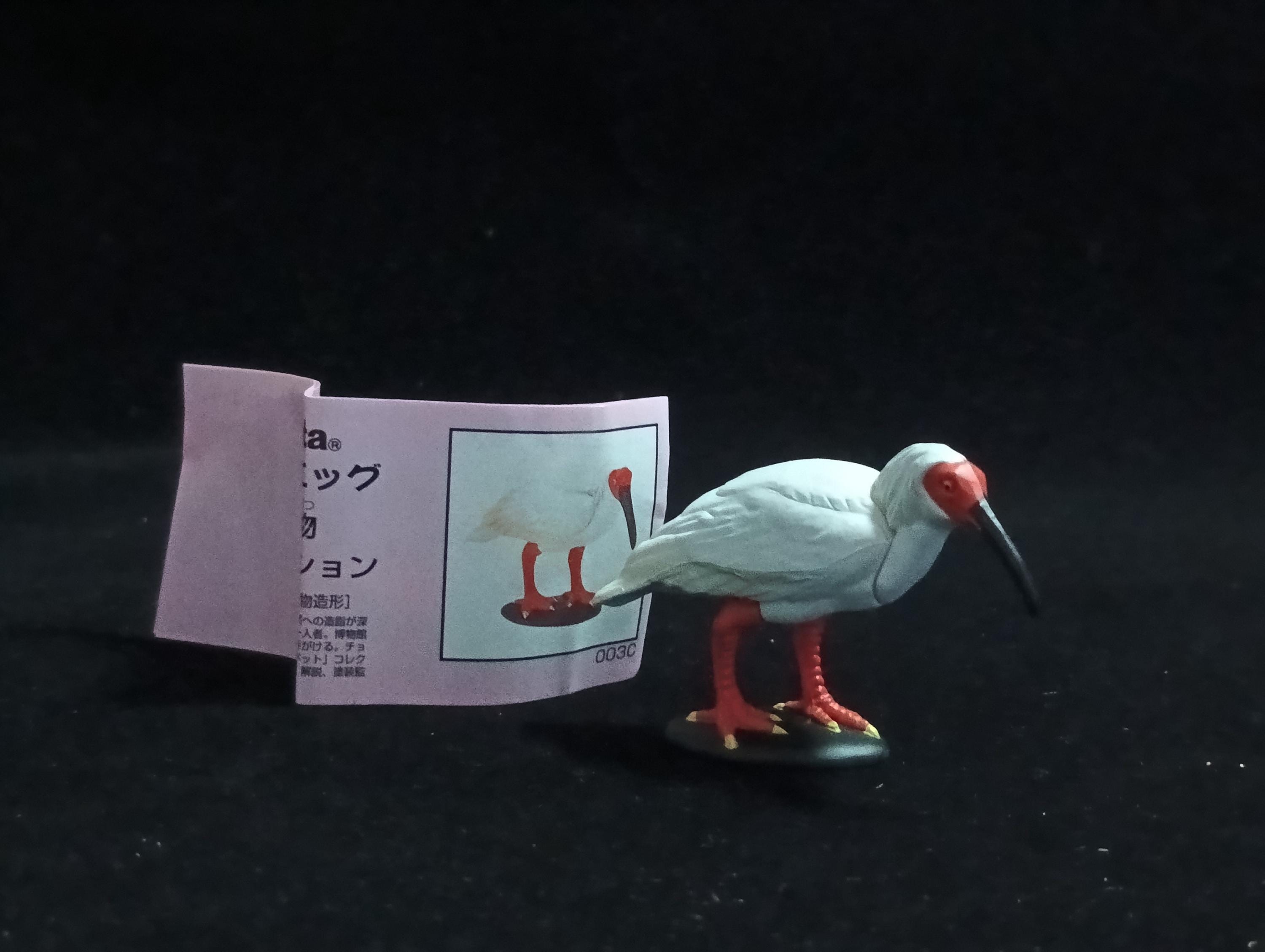 Miniature Japanese crested ibis Figurine - Furuta