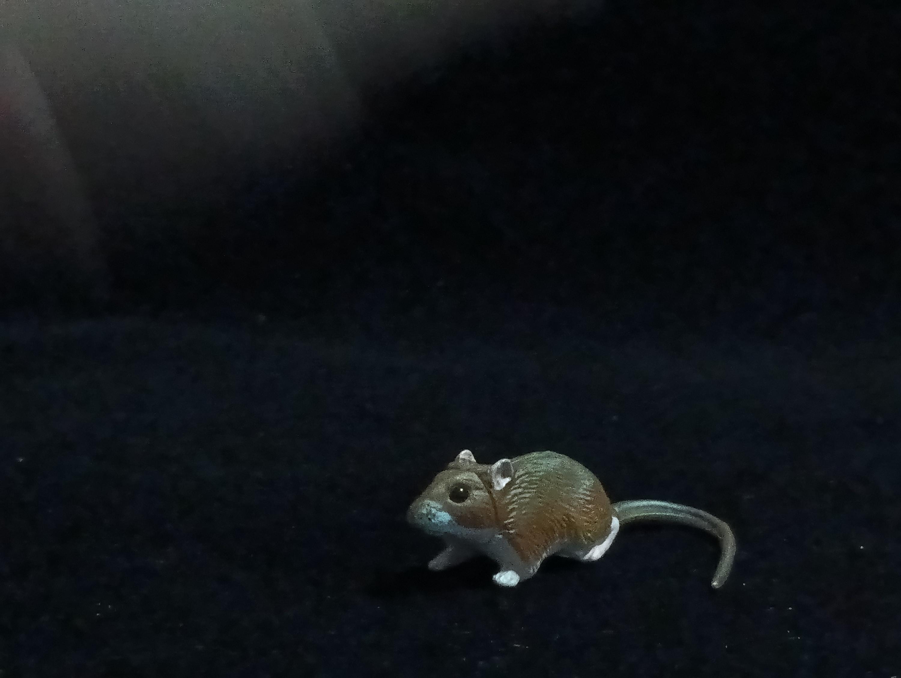 Miniature Japanese field mouse Figurine - Furuta