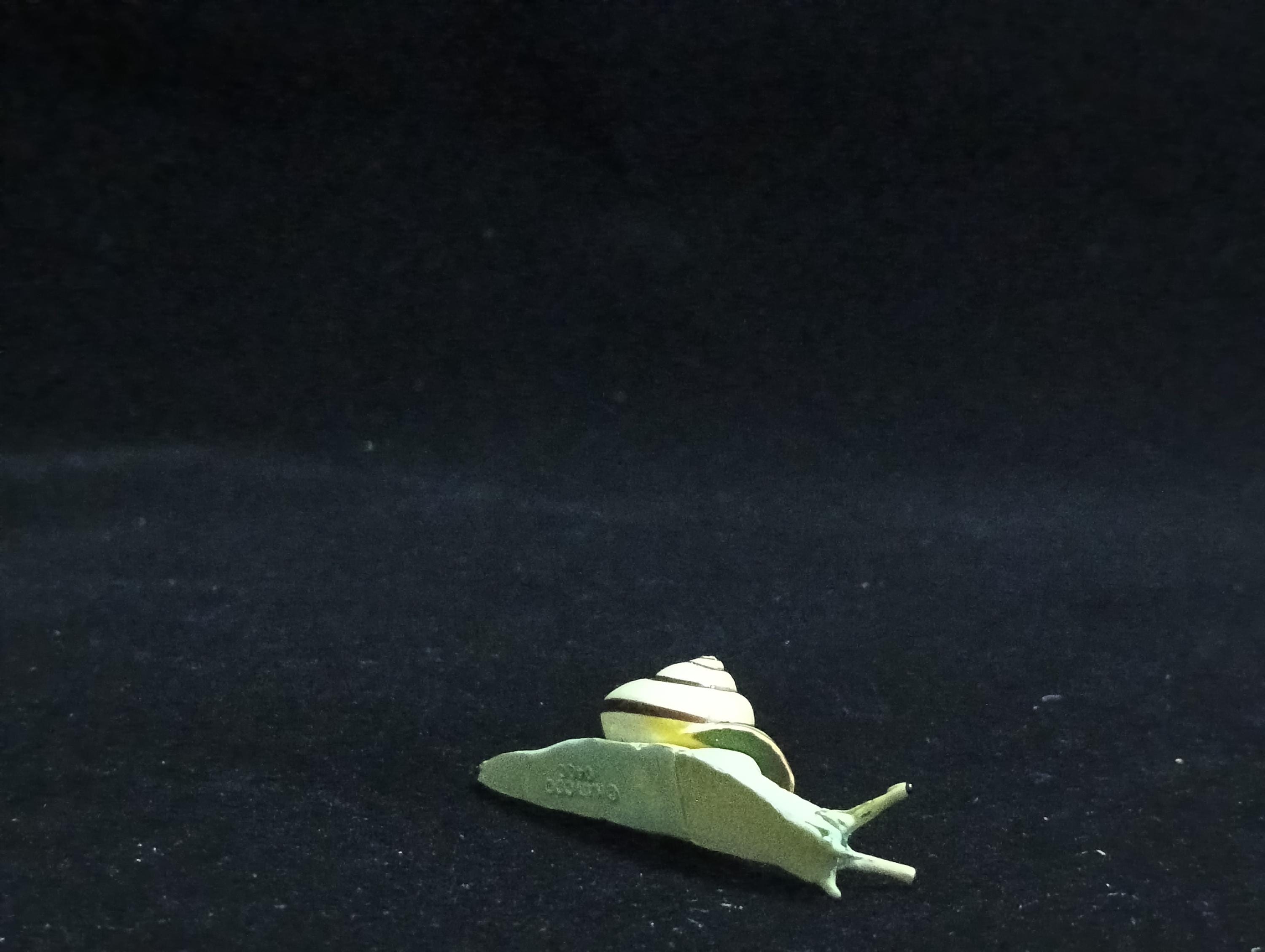 Miniature Amalia snail Figurine - Furuta