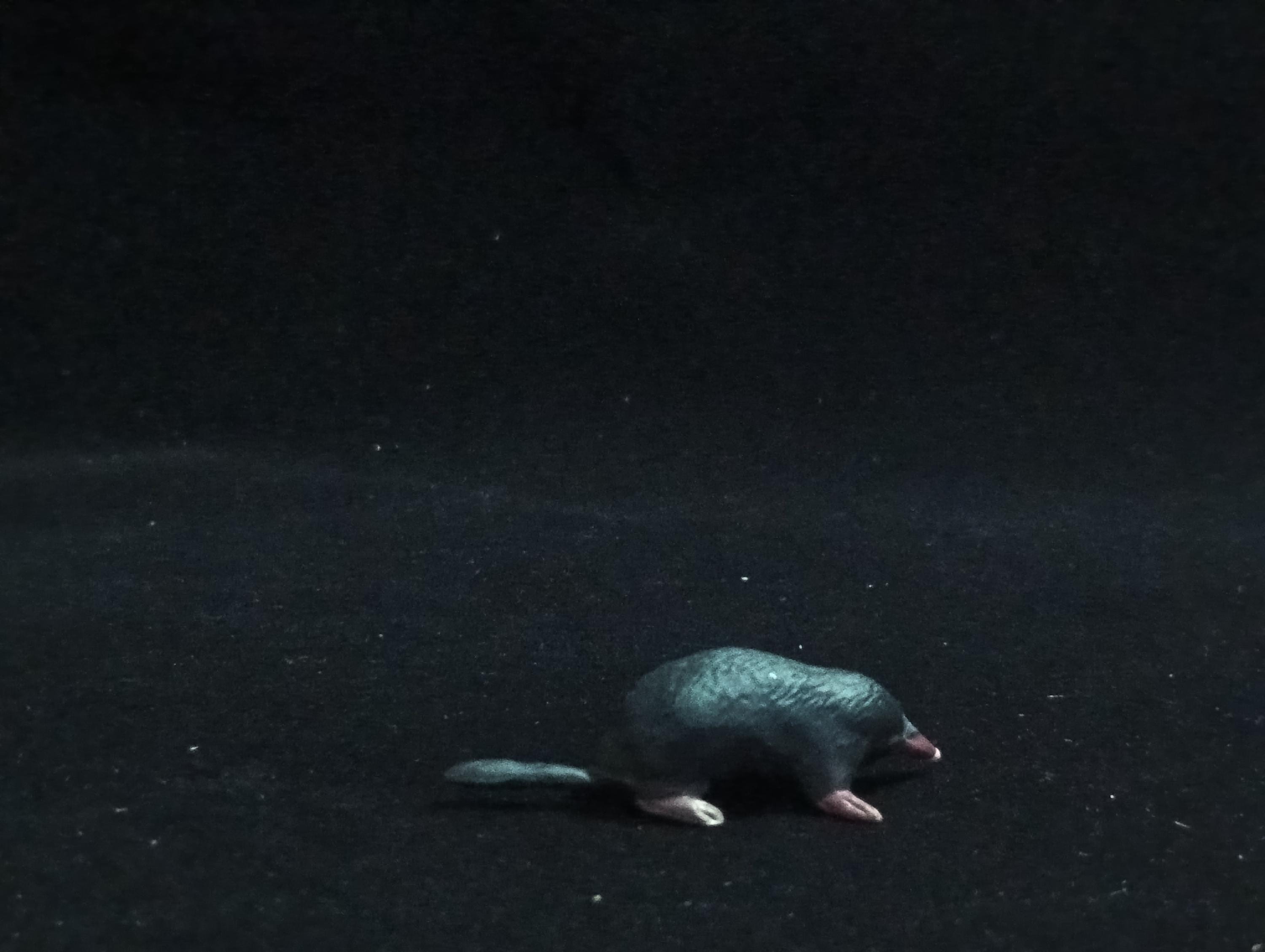 Miniature Mole Figurine - Furuta