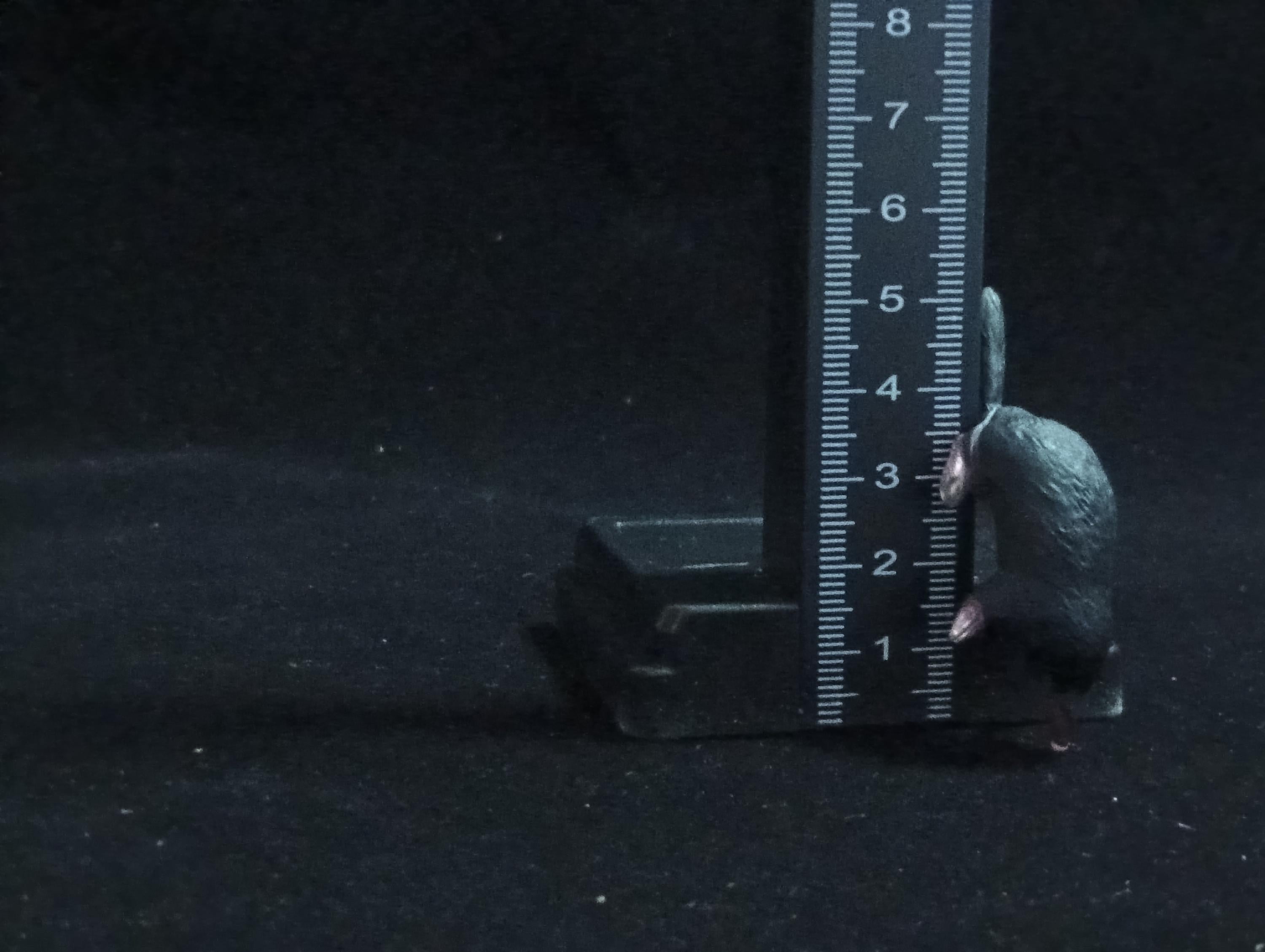 Miniature Mole Figurine - Furuta