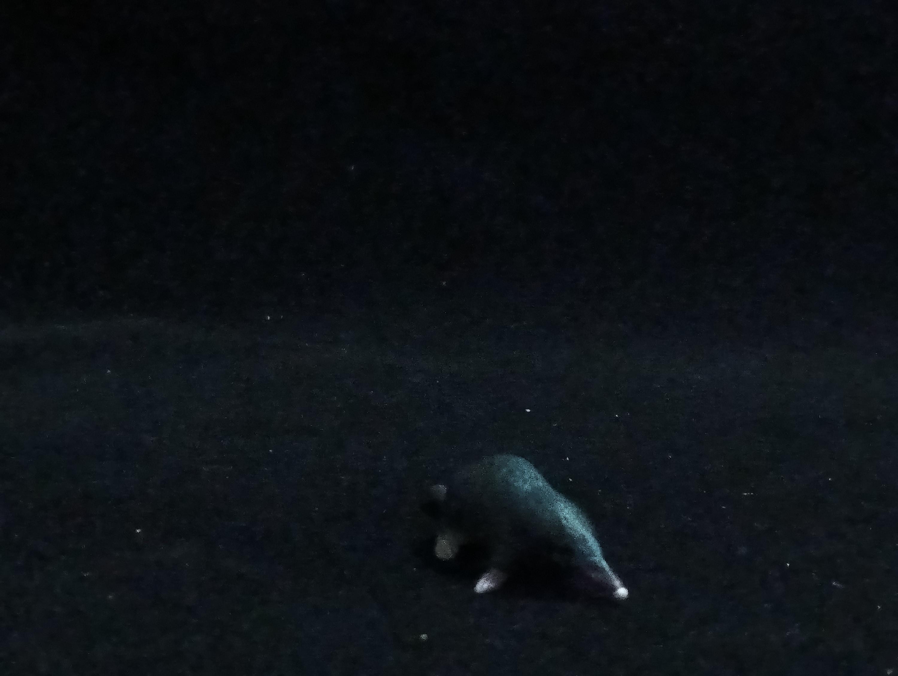 Miniature Mole Figurine - Furuta