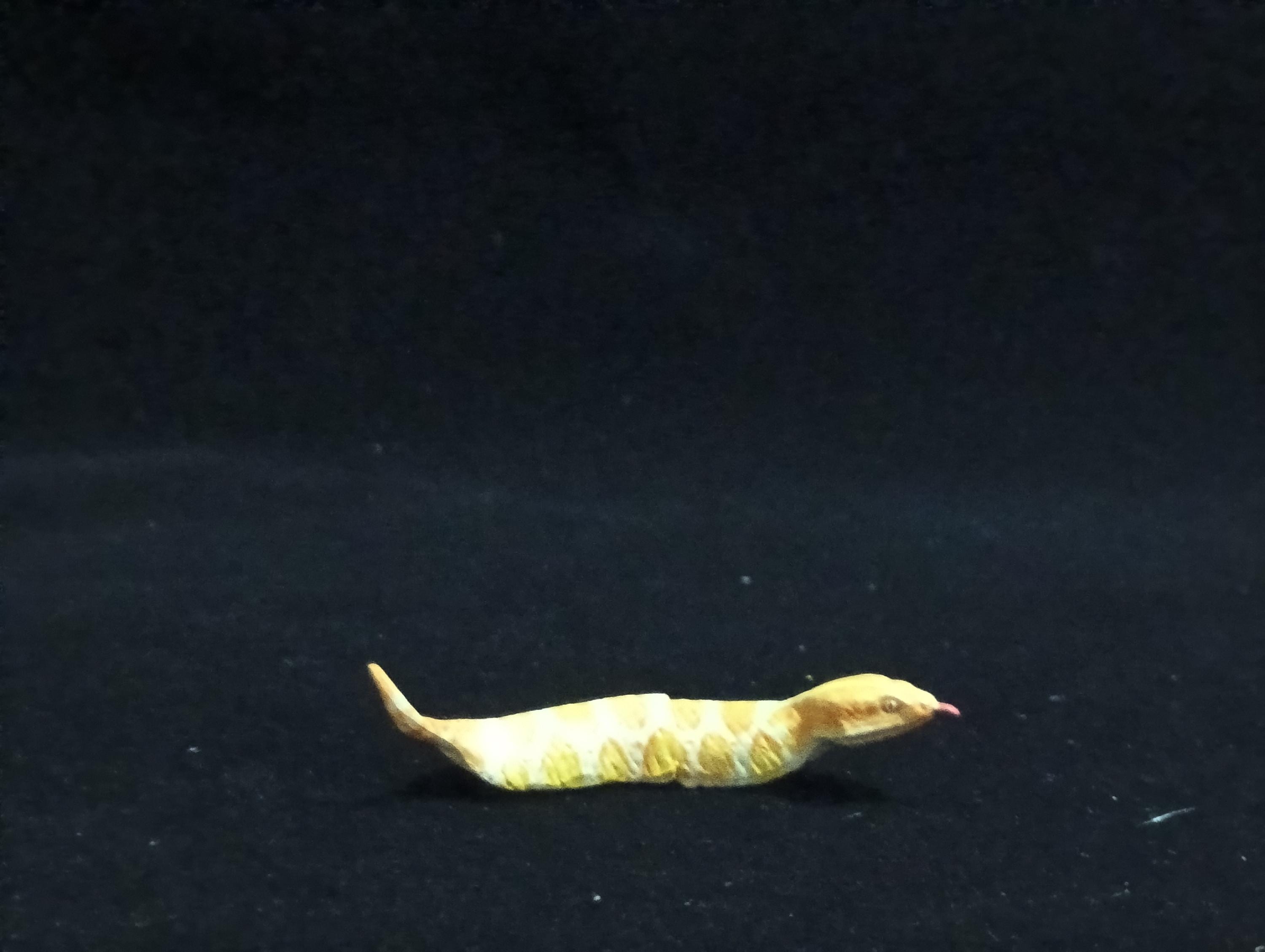 Miniature Tsuchinoko snake Figurine - Furuta Secret Item