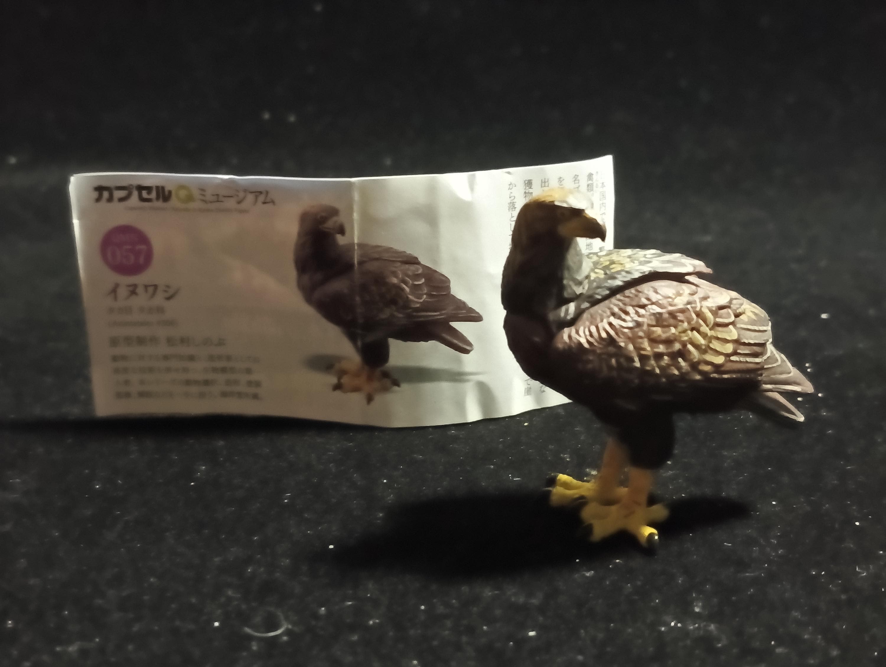Japanese Animal Collection 8: Japanese Alps - Golden Eagle - Kaiyodo Capsule Q Museum #57